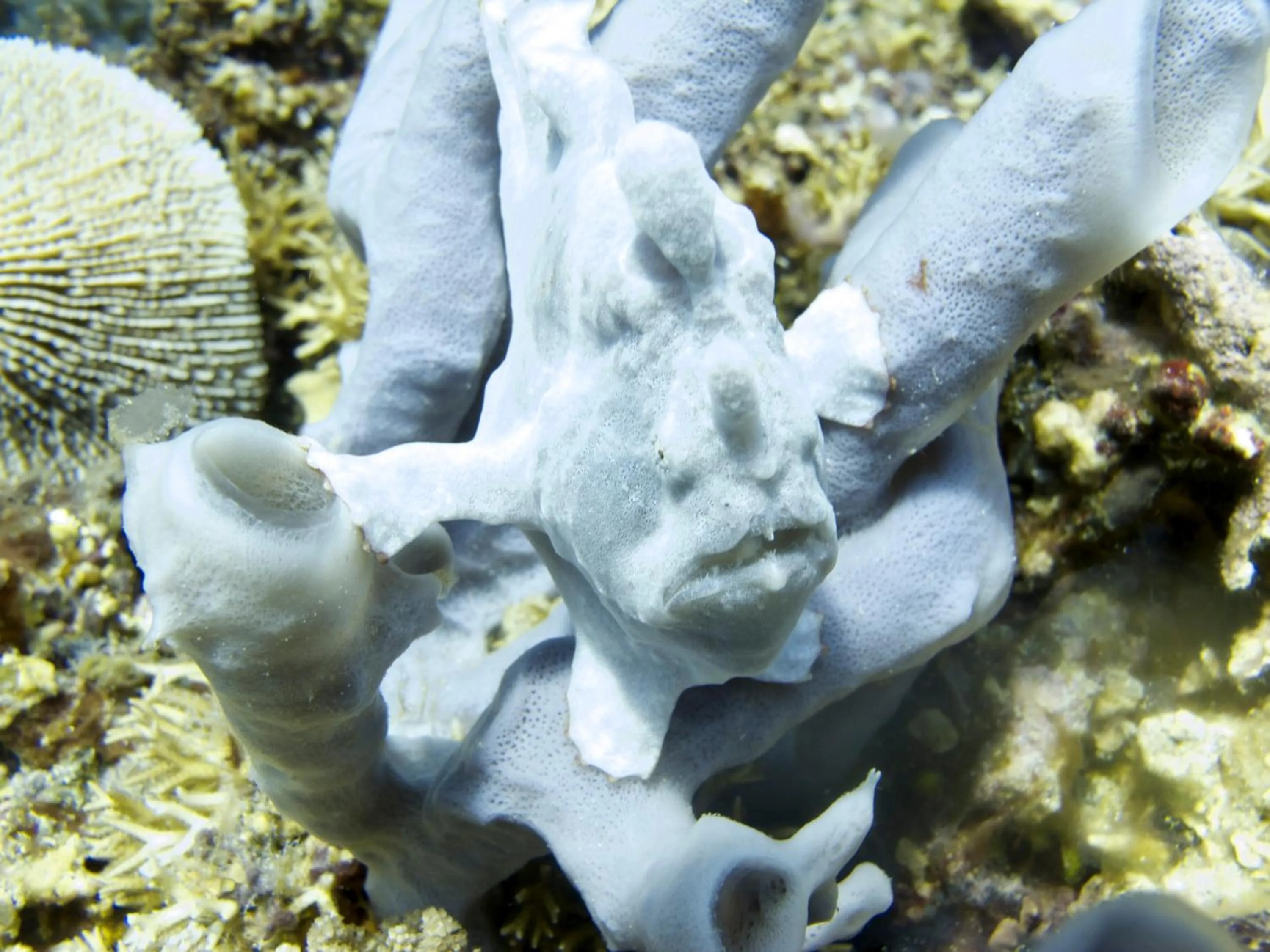 Beach in Breathe Villa Meno