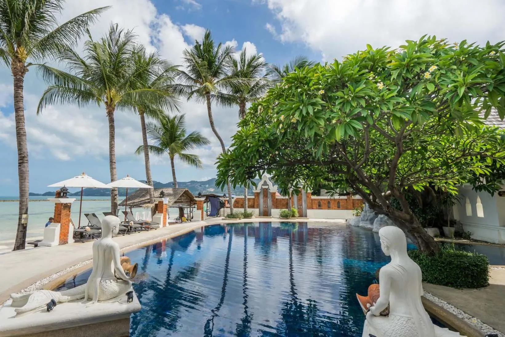 Pool view in Dara Samui Beach Resort Adults Only, Chaweng