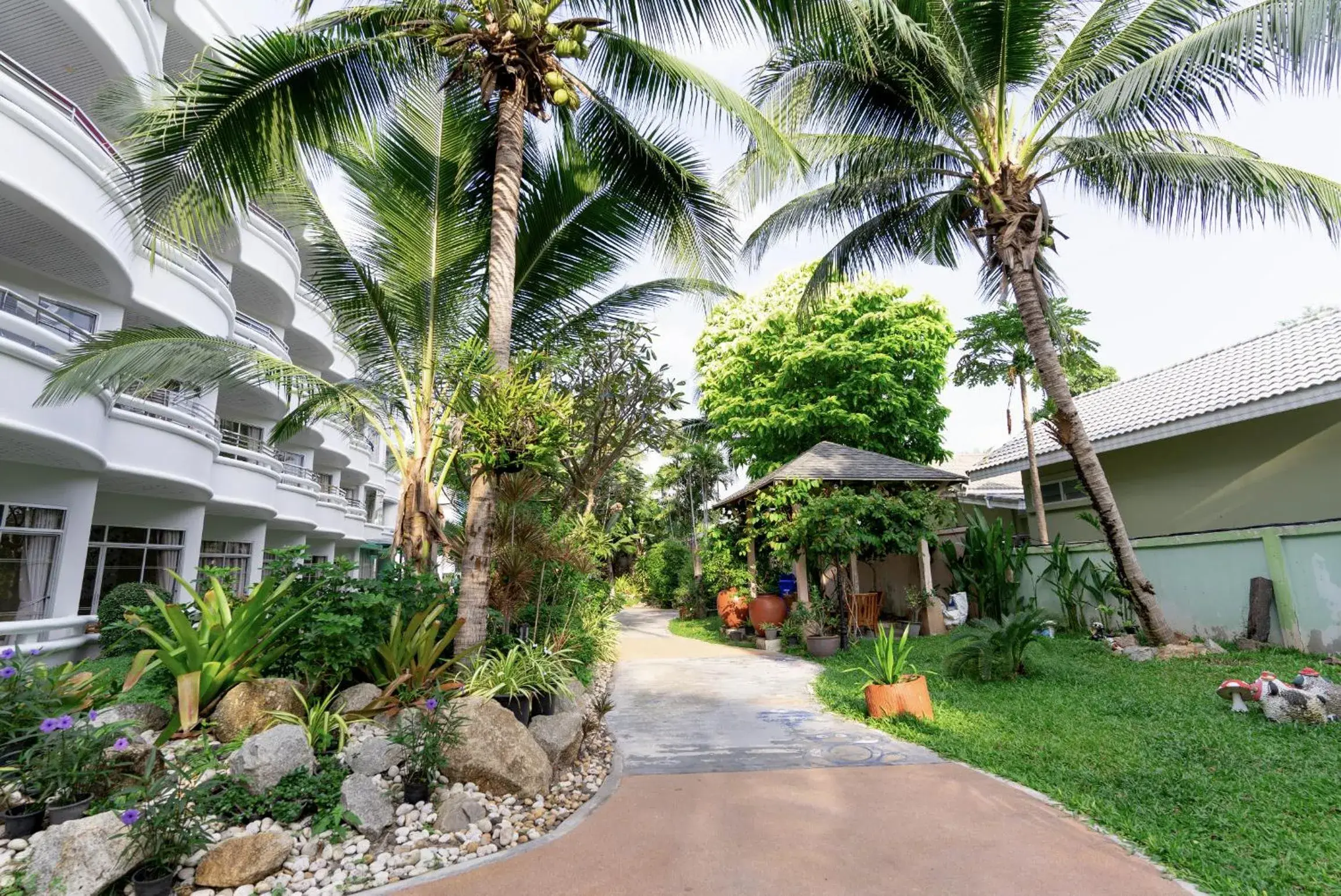 Property building in MATCHA SAMUI RESORT formerly Chaba Samui Resort Property building in MATCHA SAMUI RESORT formerly Chaba Samui Resort