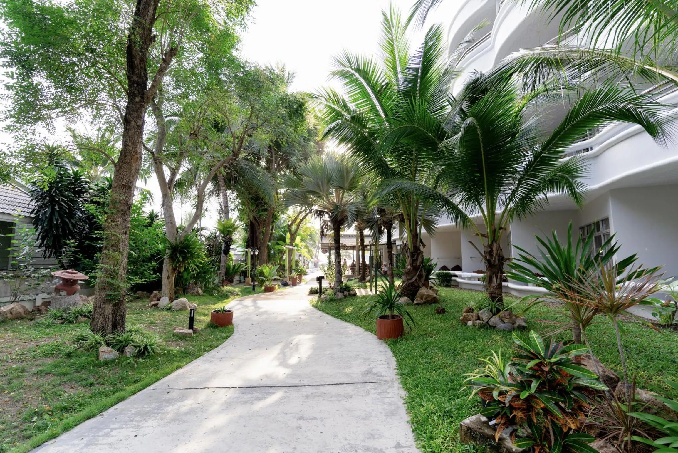 Property building in MATCHA SAMUI RESORT formerly Chaba Samui Resort