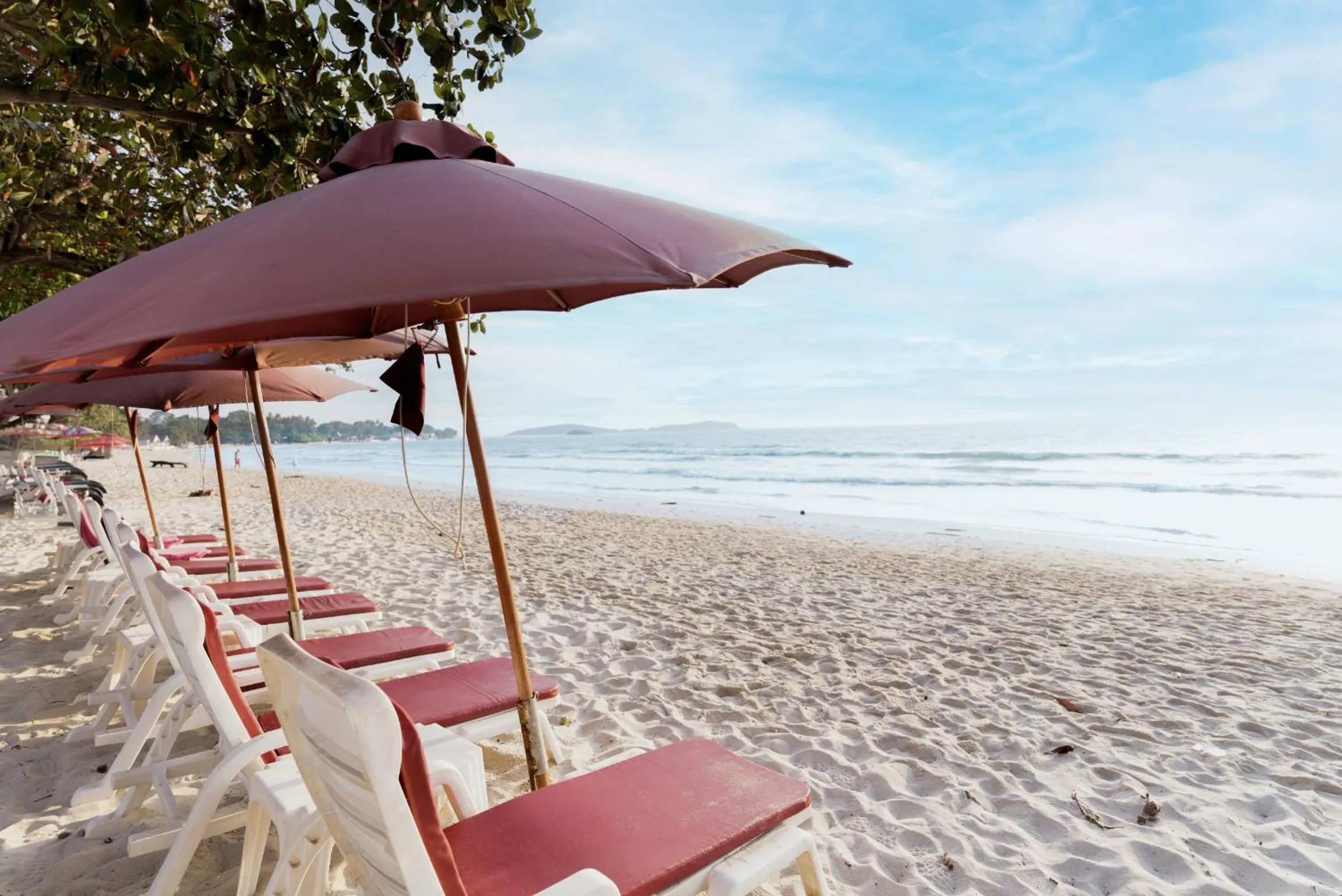 Beach in MATCHA SAMUI RESORT formerly Chaba Samui Resort