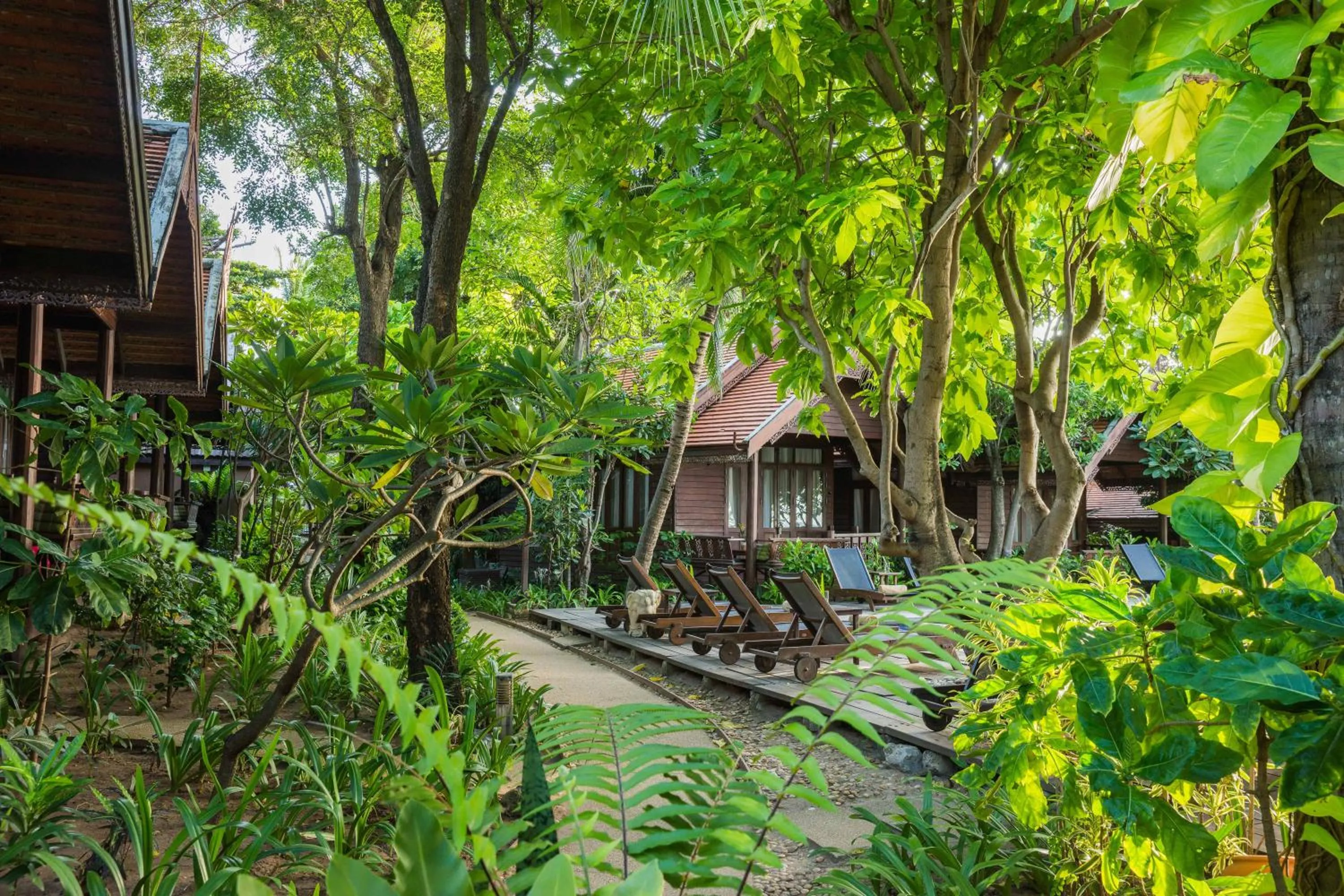 Natural landscape in Samui Paradise Chaweng Beach Resort