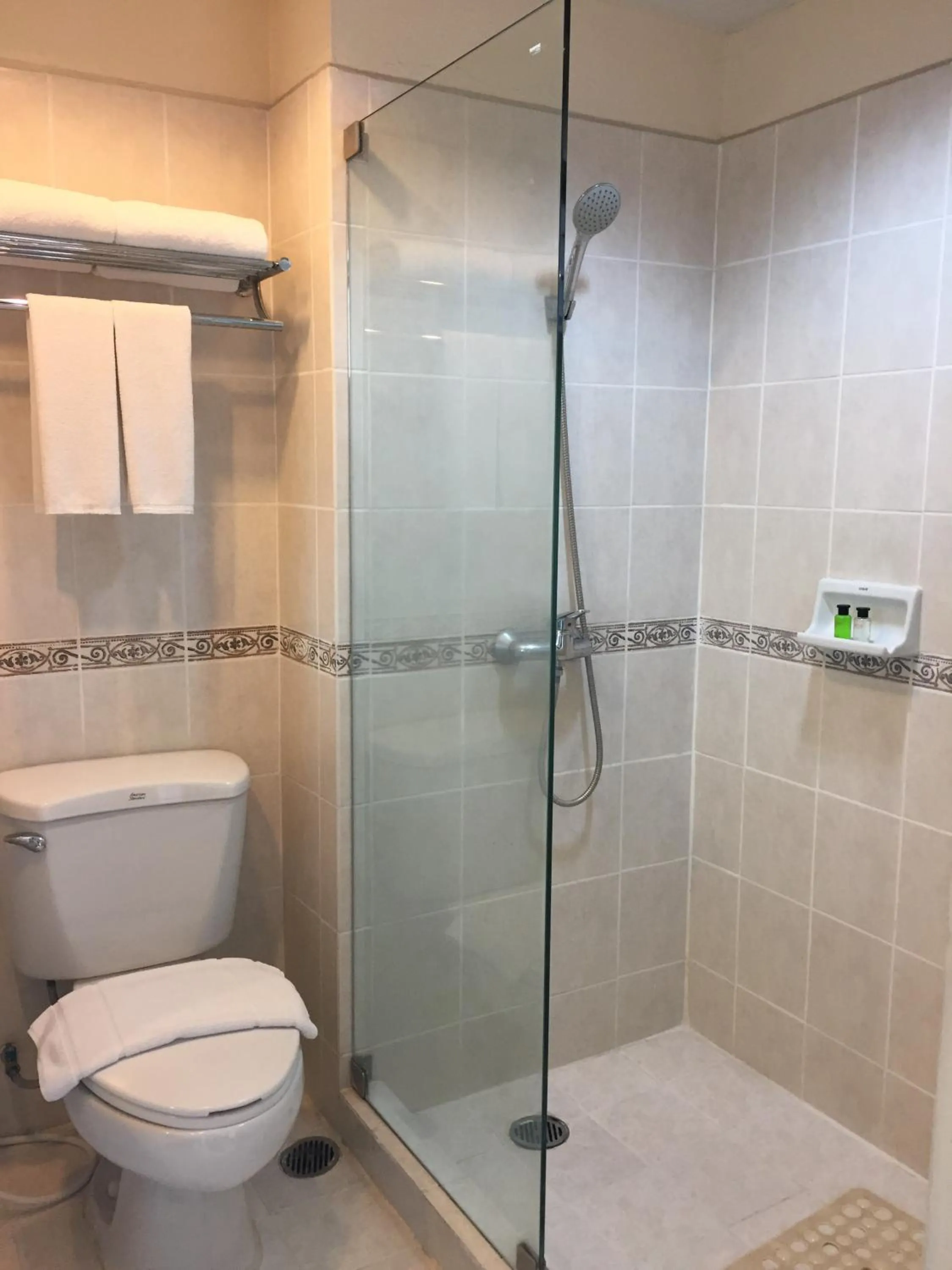 Toilet in The Patra Hotel - Rama 9