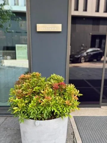 Facade/entrance in Zander K Hotel