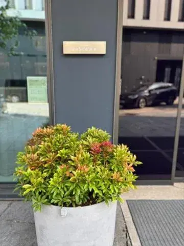 Facade/entrance in Zander K Hotel Facade/entrance in Zander K Hotel