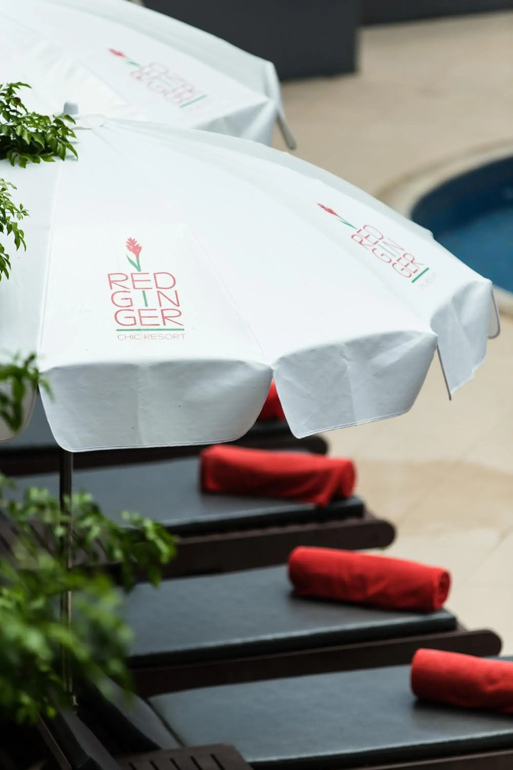 Property building in Red Ginger Chic Resort Property building in Red Ginger Chic Resort