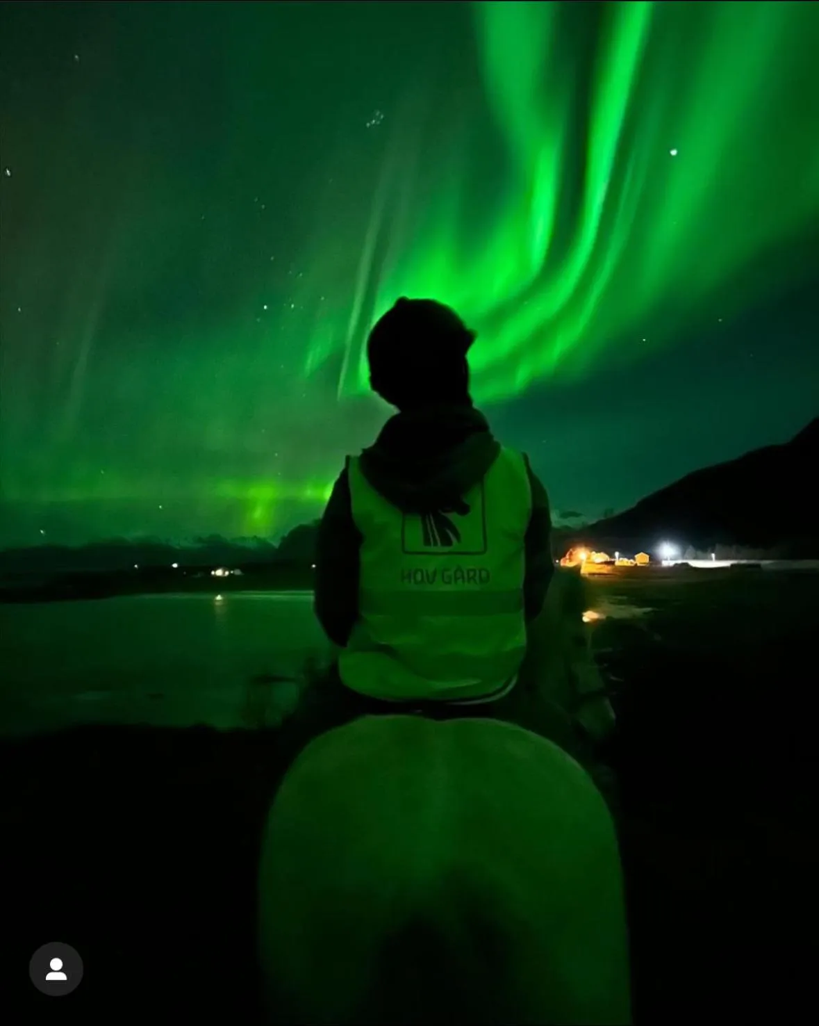 Night in Lofoten Links Lodges