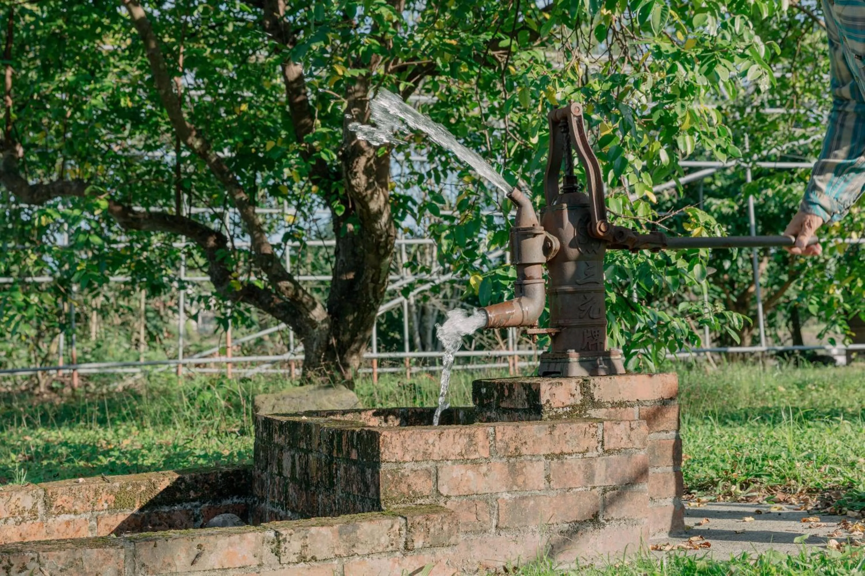 Natural landscape in Green Forest Villa