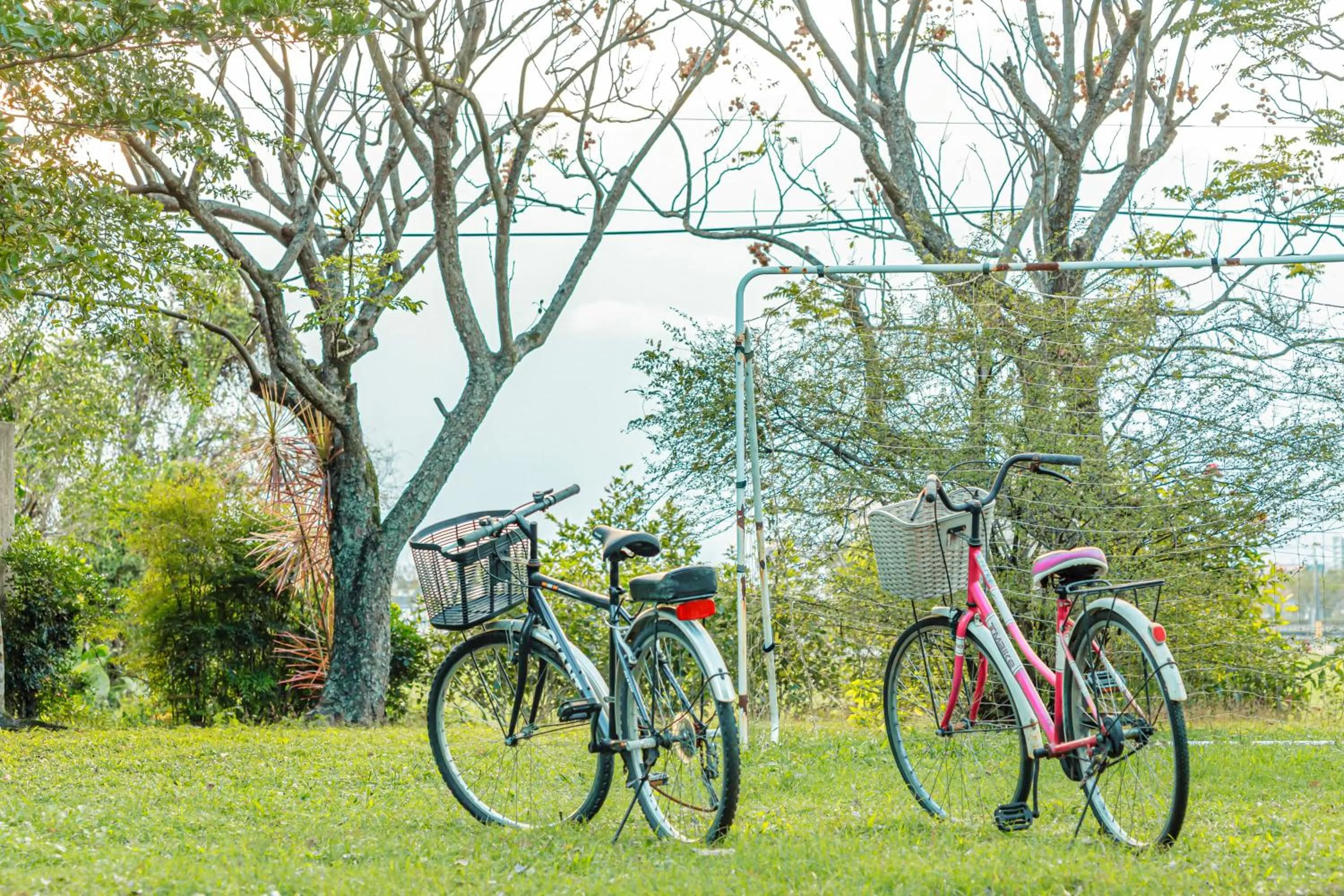 Natural landscape in Green Forest Villa