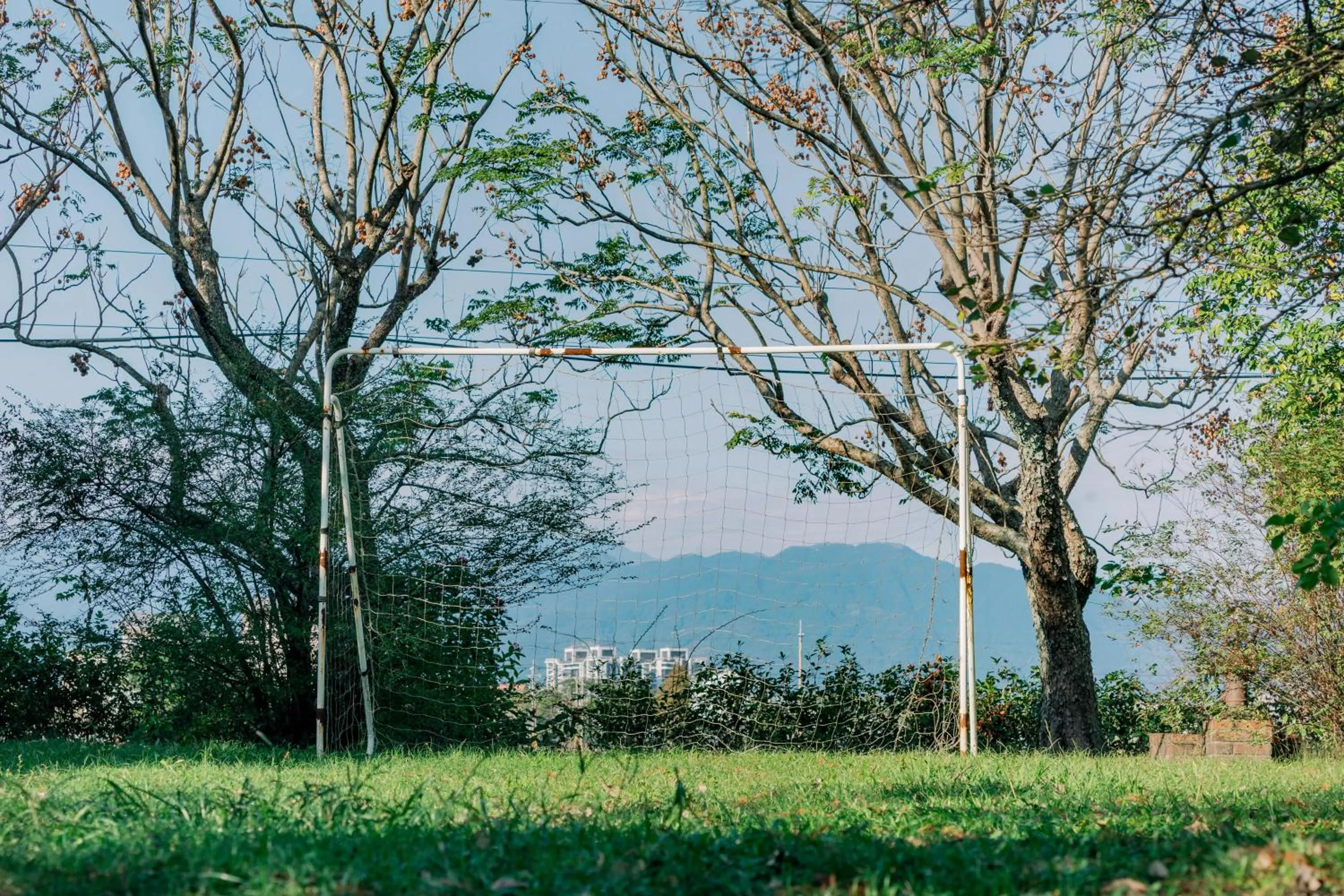 Natural landscape in Green Forest Villa
