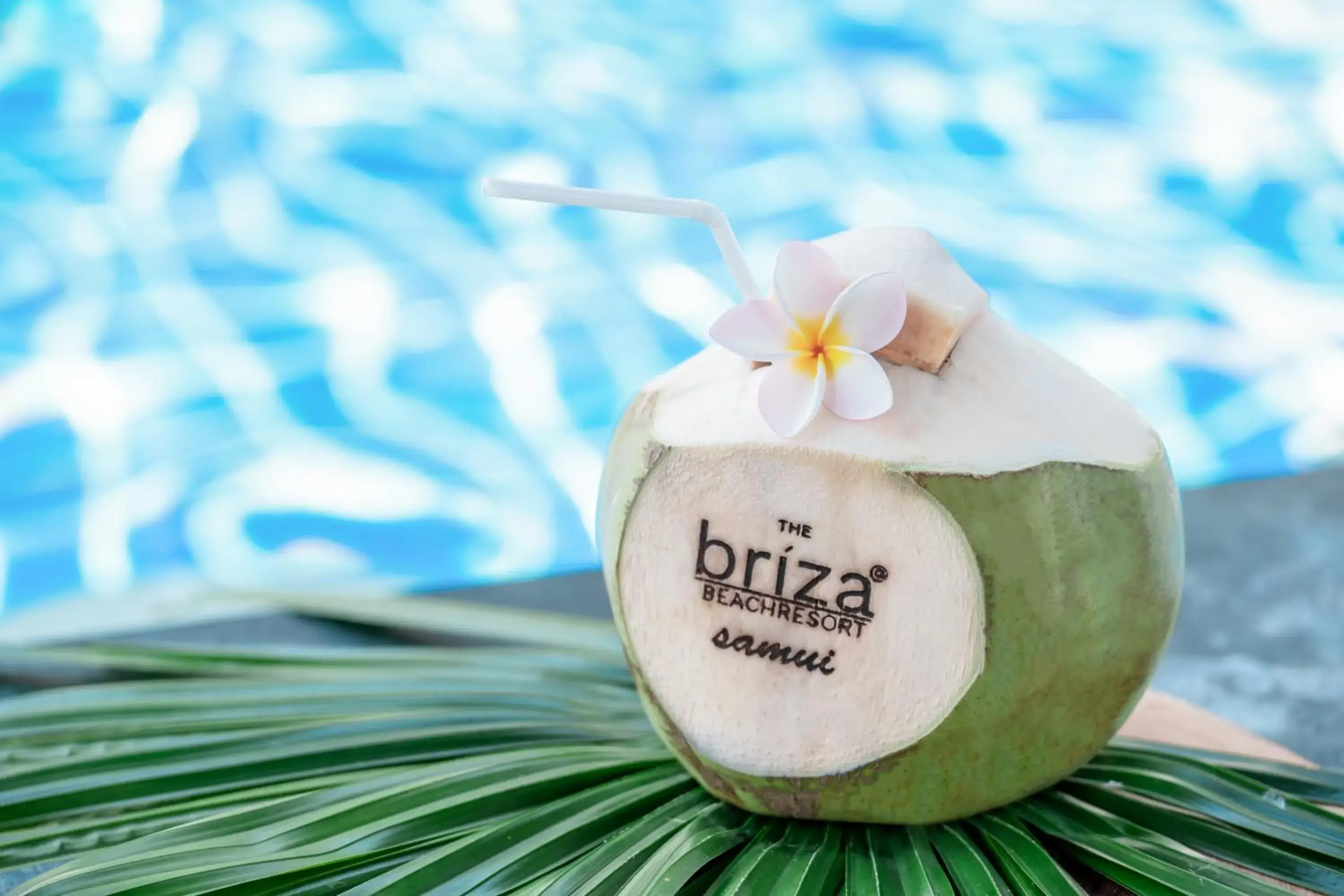 Restaurant/places to eat in The Briza Beach Resort, Samui - SHA Plus Restaurant/places to eat in The Briza Beach Resort, Samui - SHA Plus