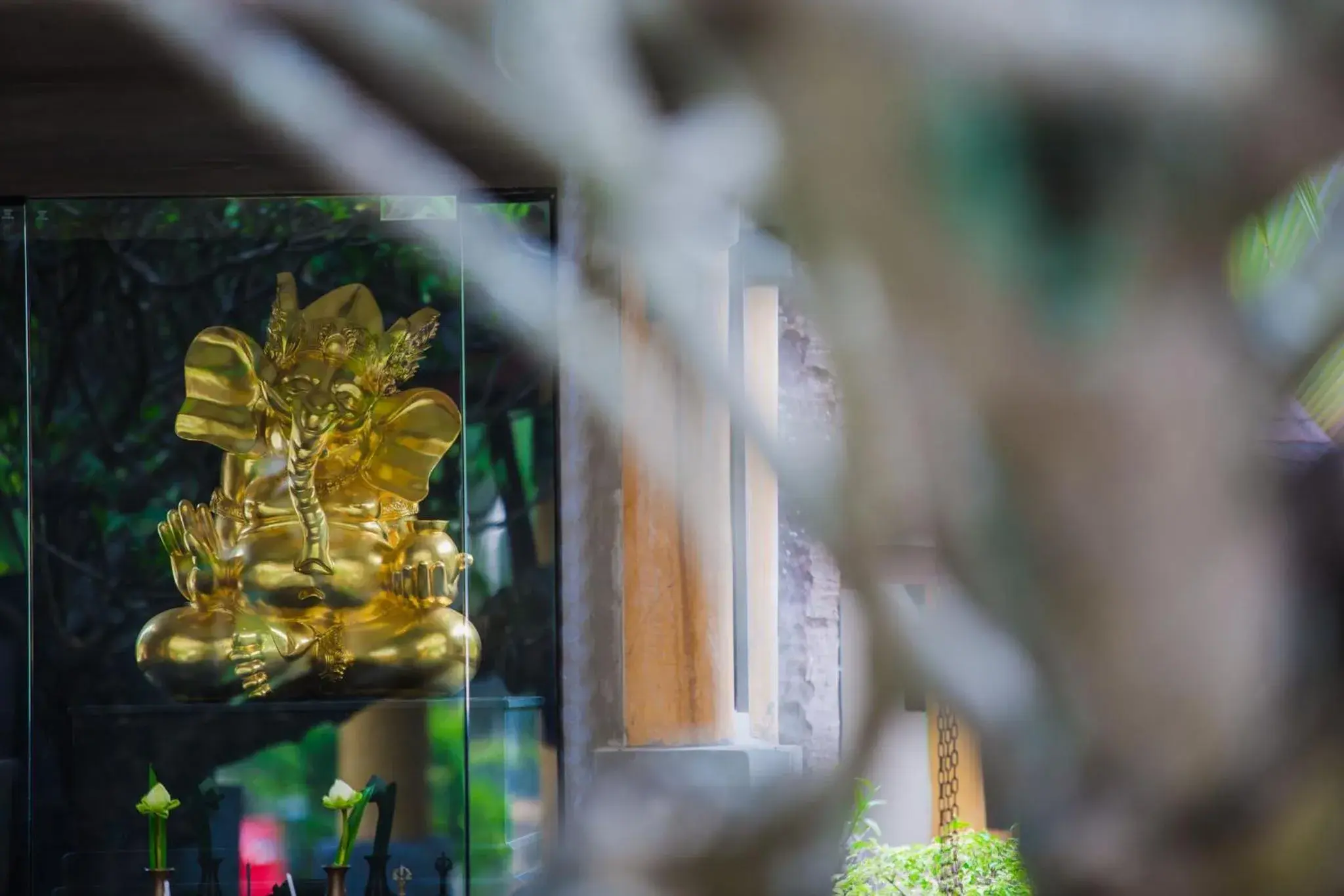 Lobby or reception in The Village Resort - SHA Plus Lobby or reception in The Village Resort - SHA Plus