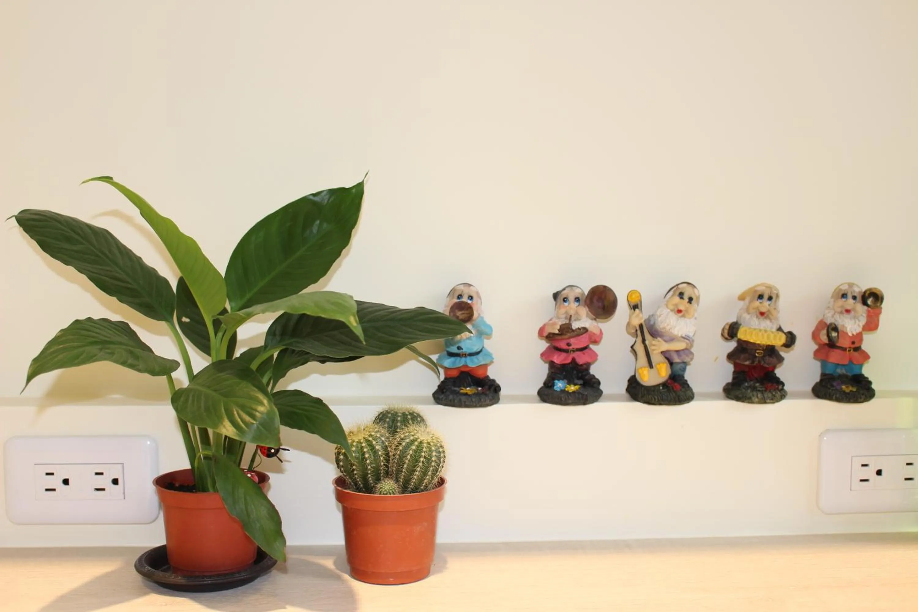 Communal kitchen in Mysig