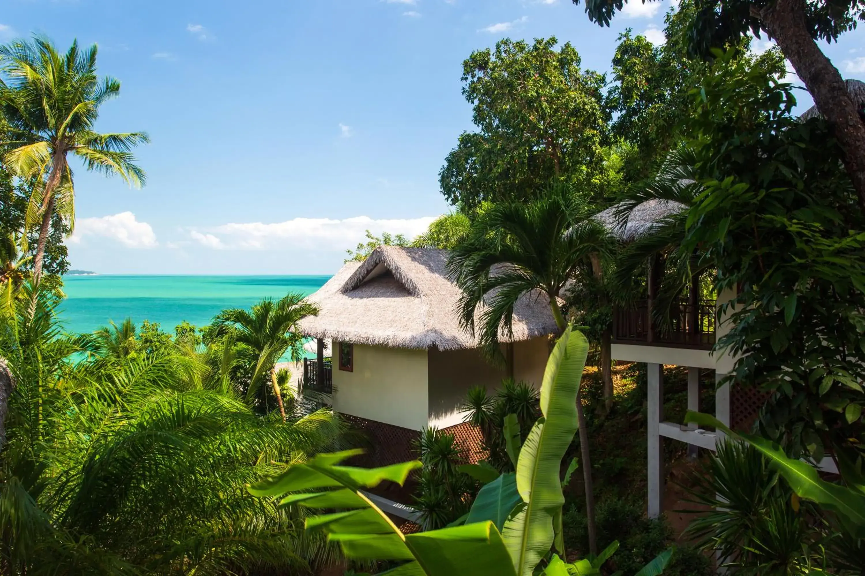Garden view in Coral Cliff Beach Resort Samui - SHA Plus Garden view in Coral Cliff Beach Resort Samui - SHA Plus