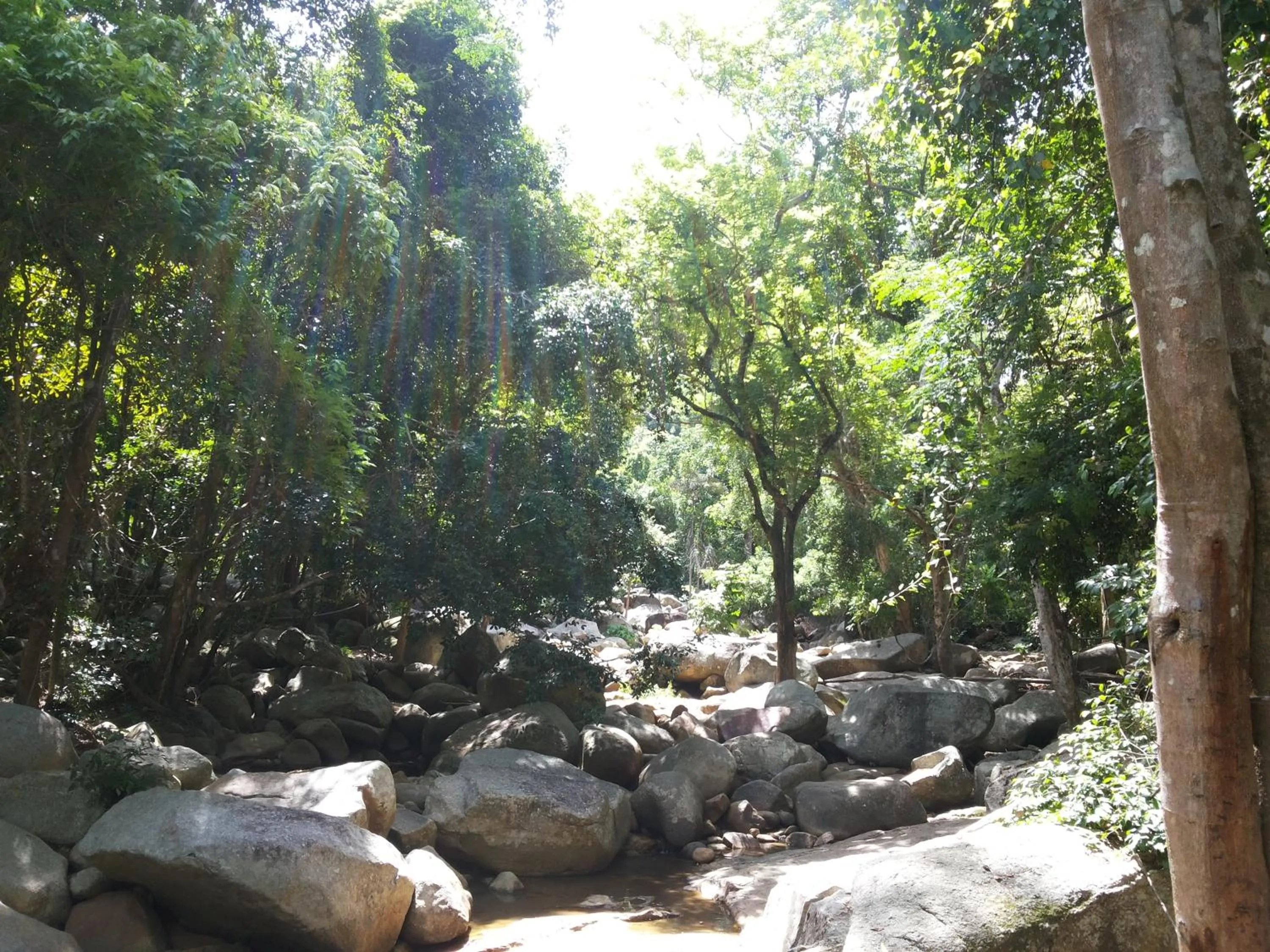 Area and facilities in ASTROCOCO beach resort by Coconut Beach