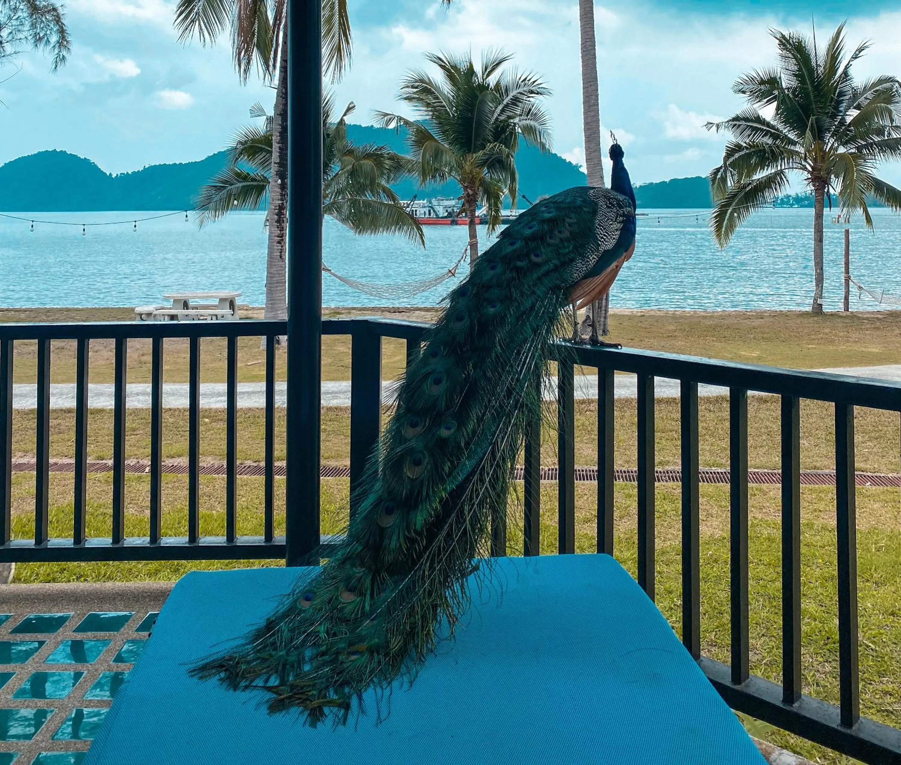 Balcony/Terrace in The Aiyapura Koh Chang