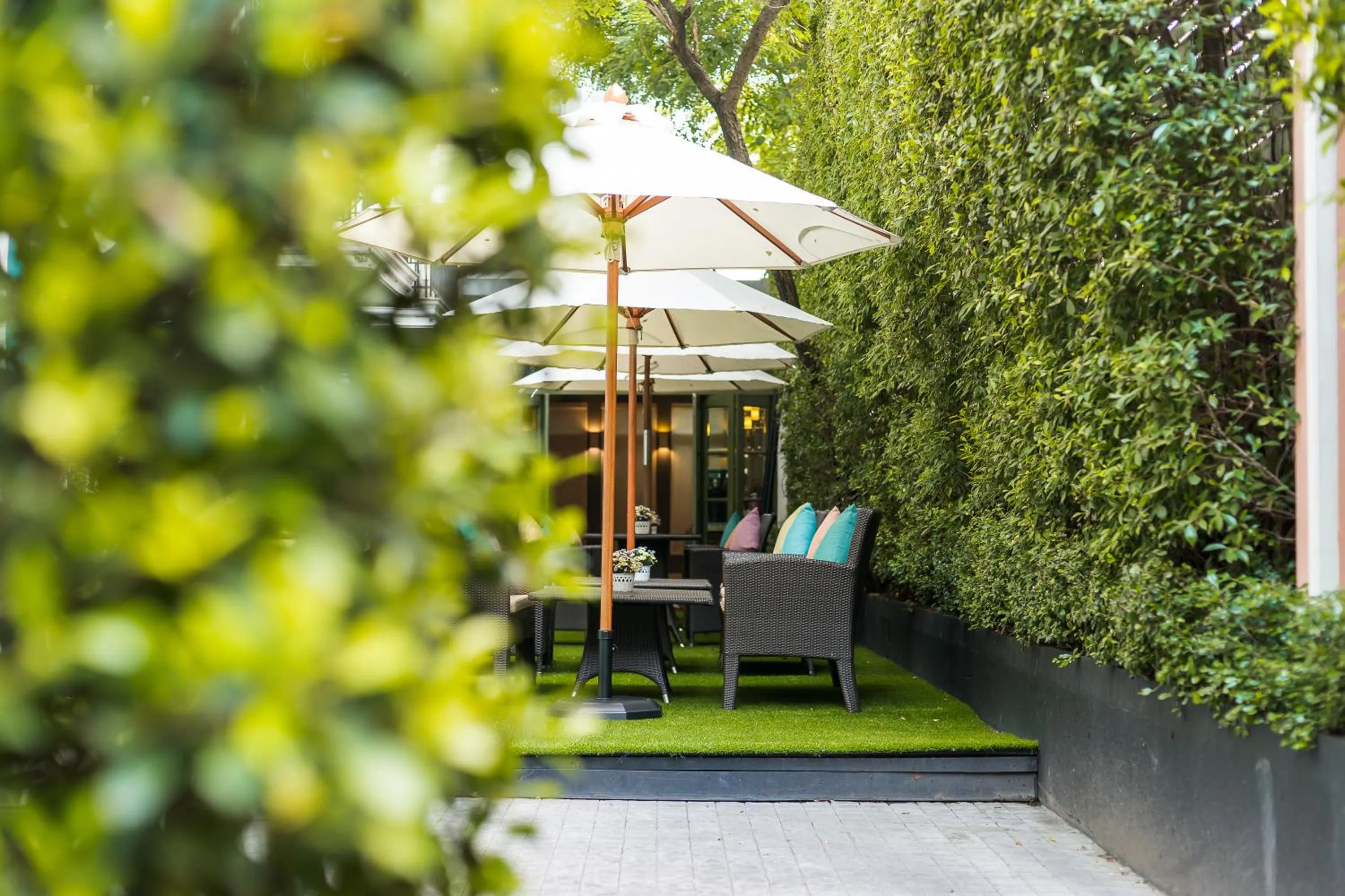 Garden in La Petite Salil Sukhumvit Thonglor 1