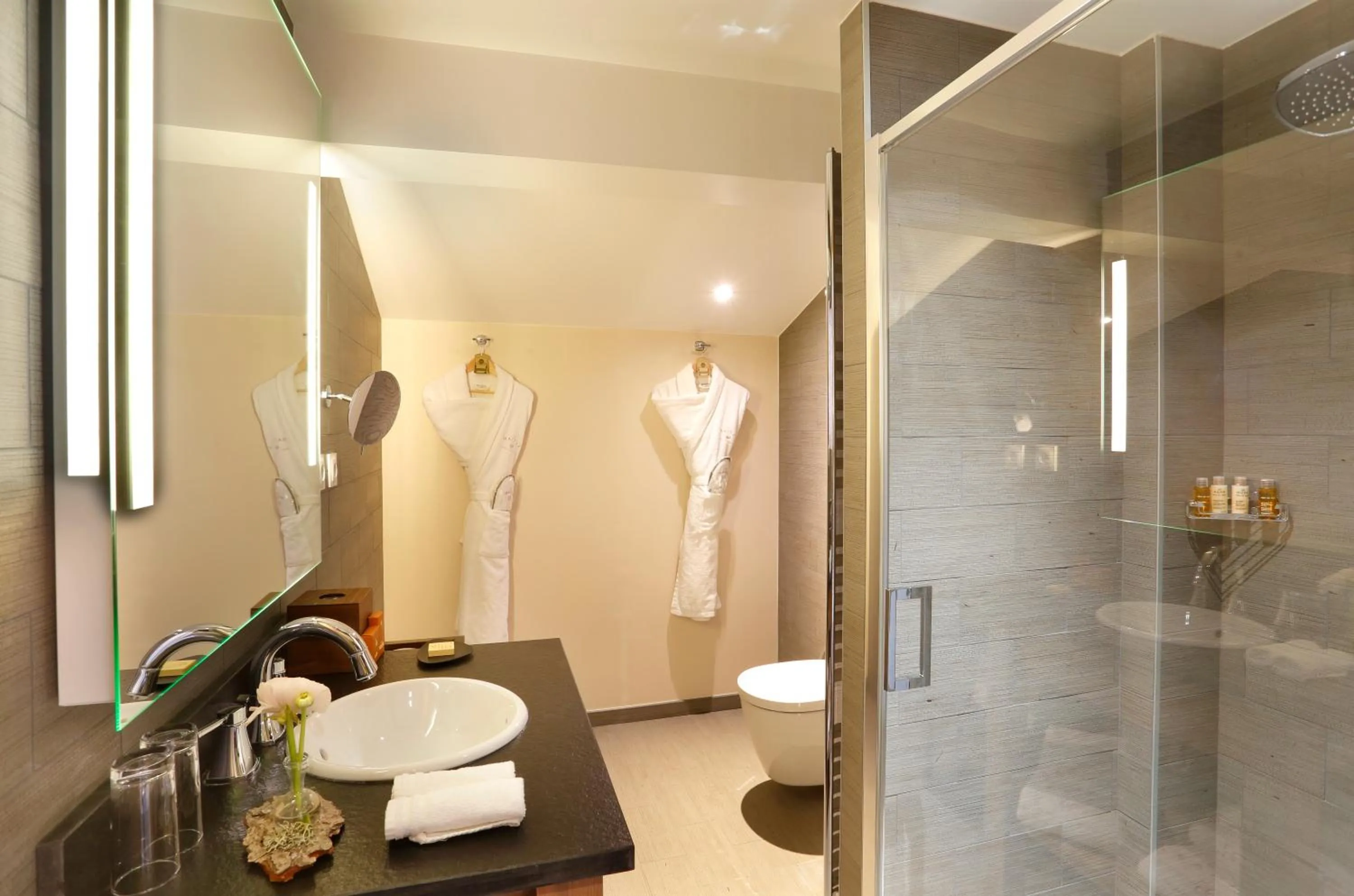 Bathroom in La Mainaz Hôtel Restaurant Genève - Gex - Mijoux