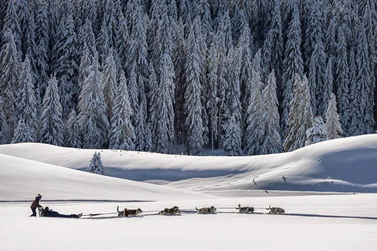 Entertainment in La Mainaz Hôtel Restaurant Genève - Gex - Mijoux