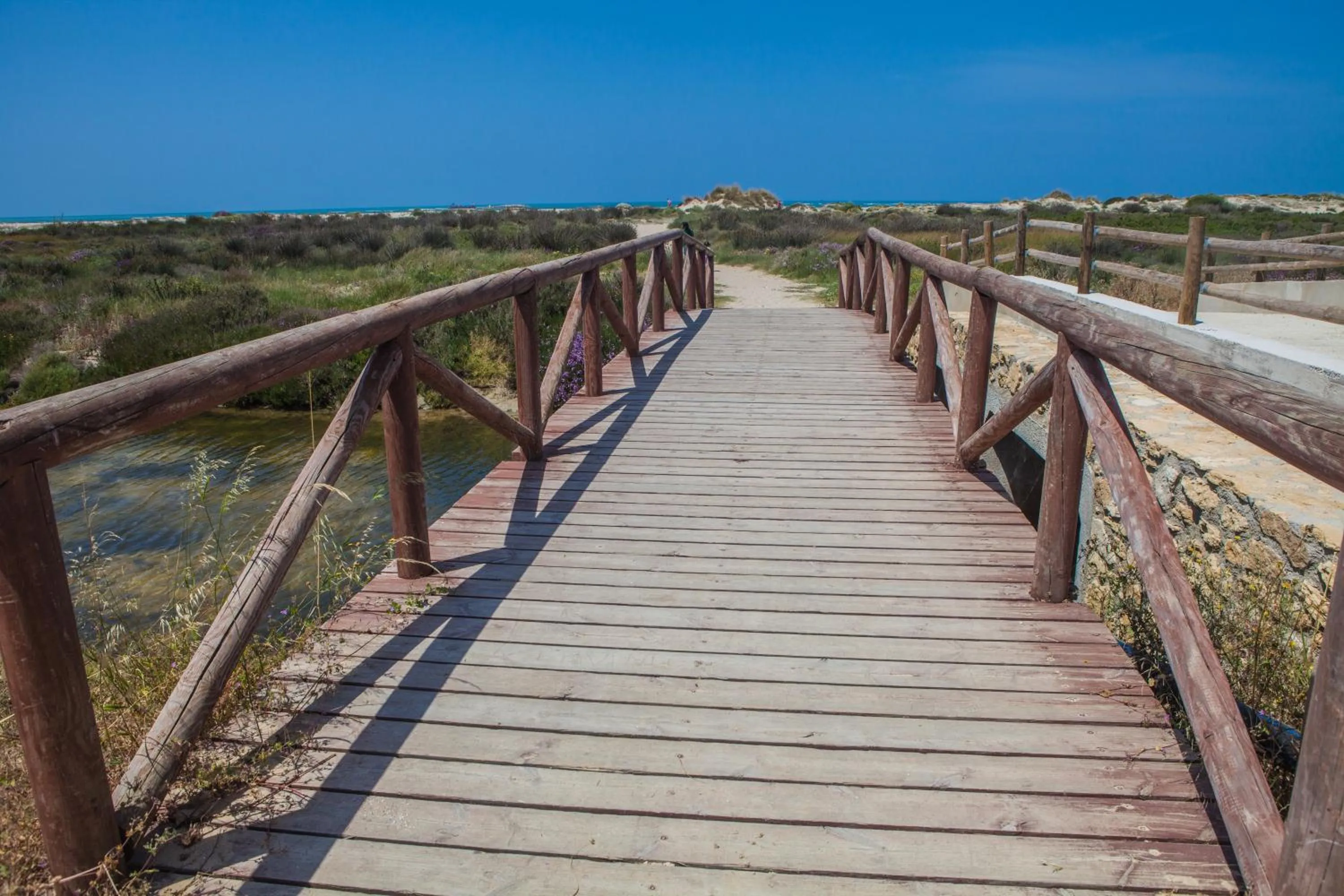 Beach in Apartamentos Turísticos Bahía Sur