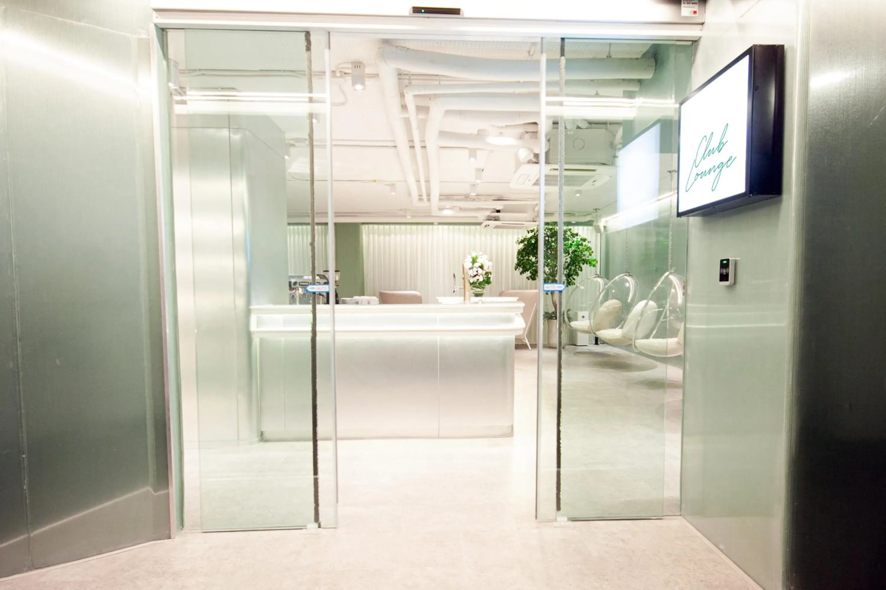 Lounge or bar in Hotel Vista