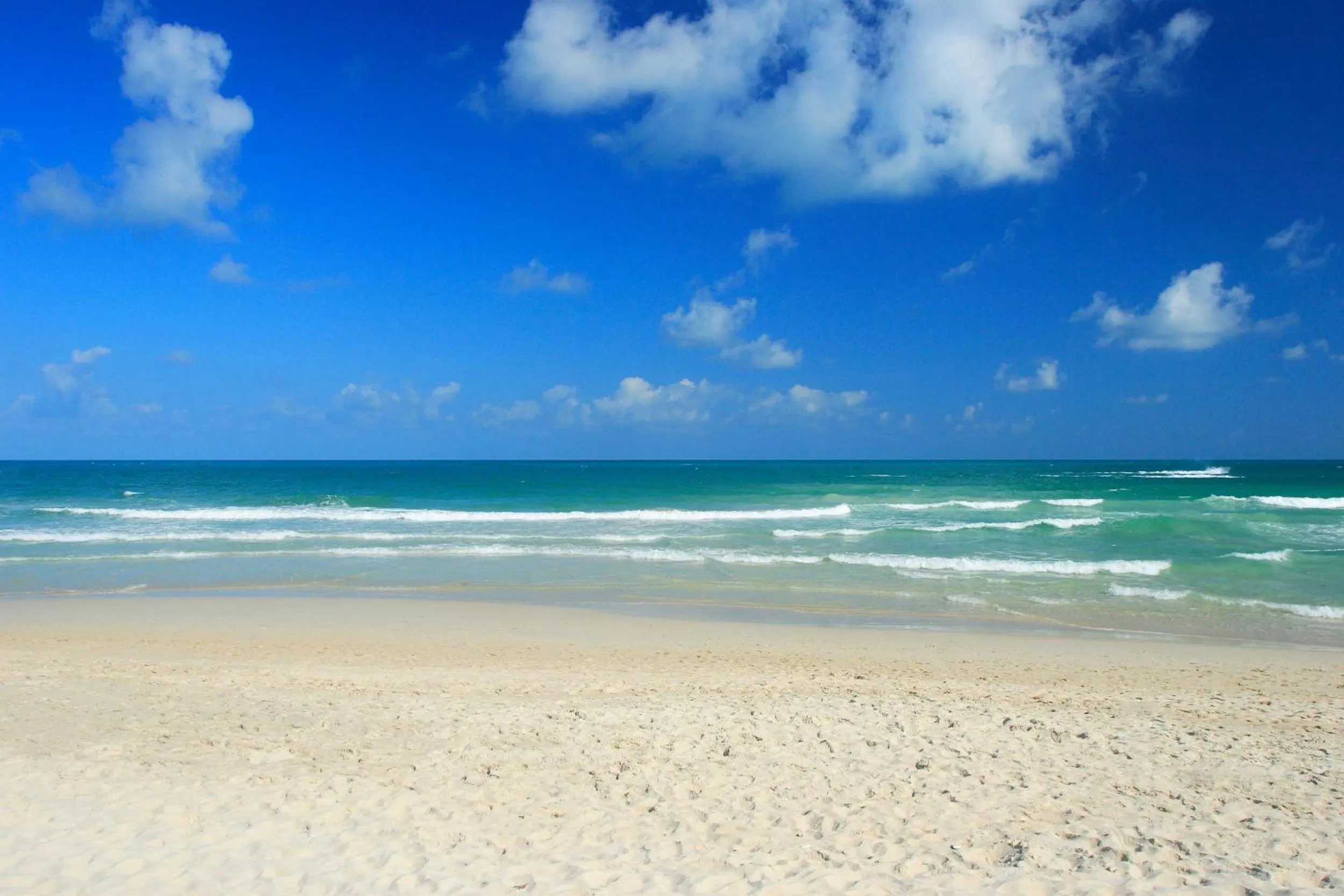 Beach in The Library