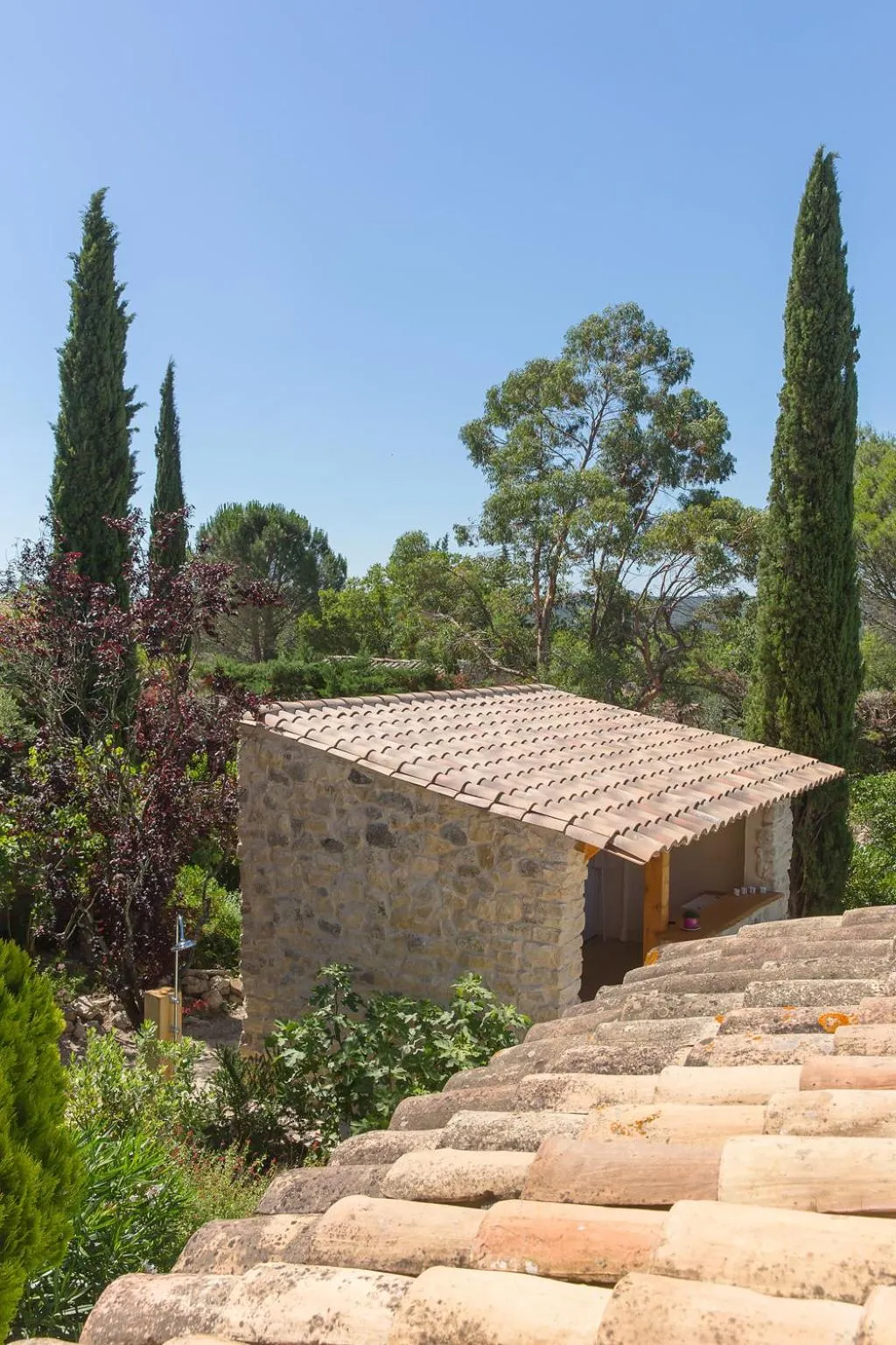 Day in Le Mas des Alexandrins