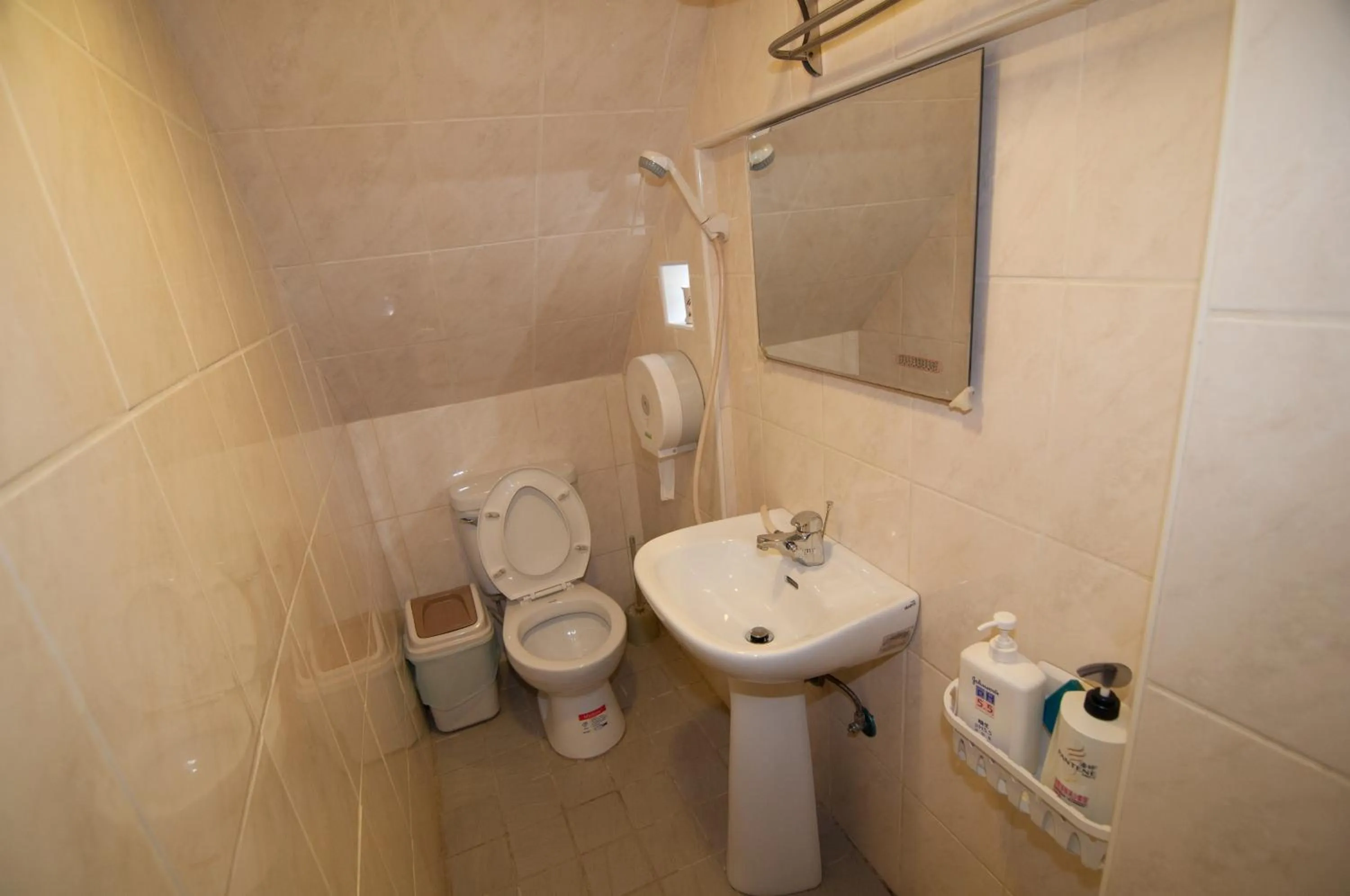 Shower in Dream Homestay