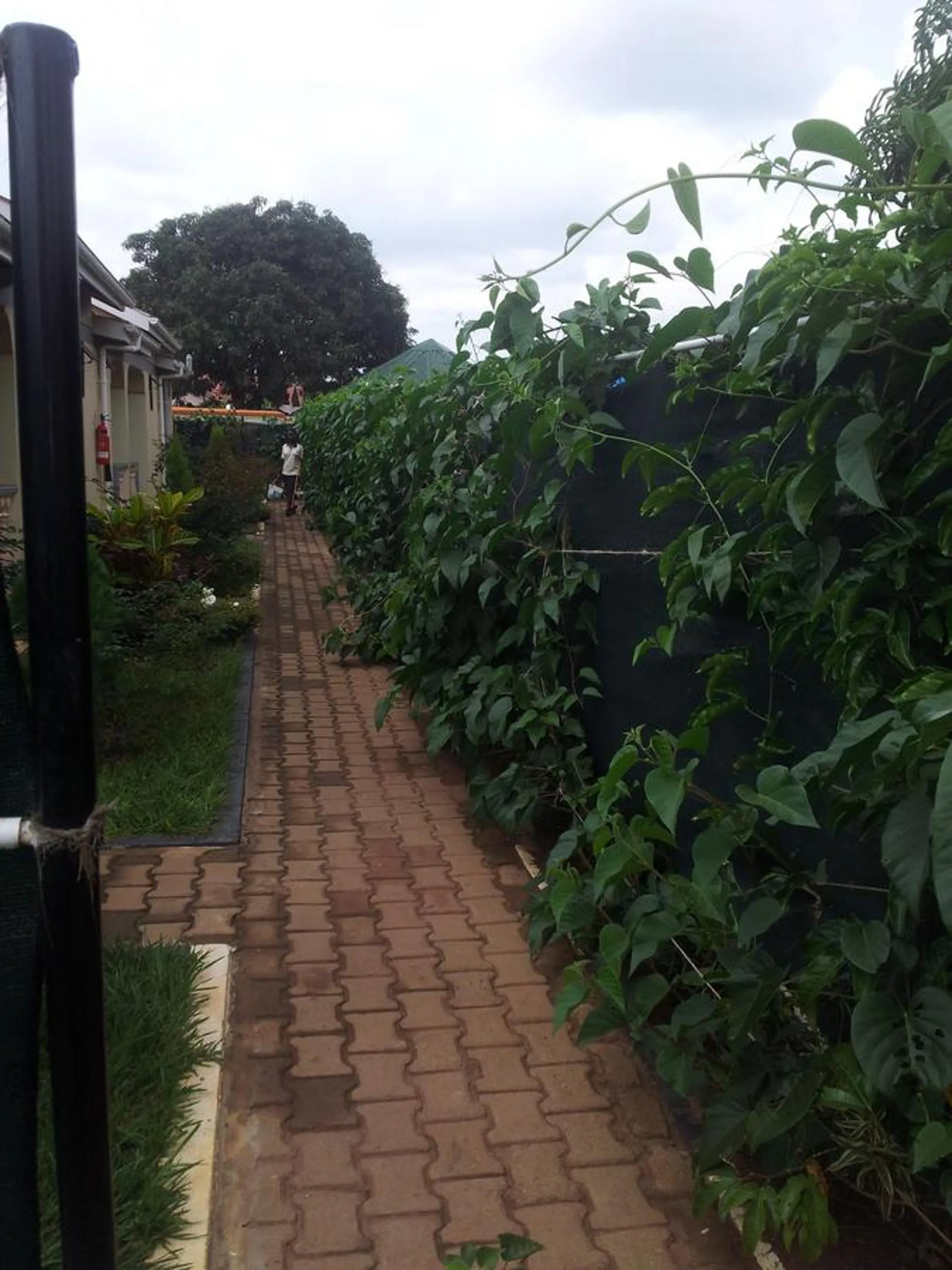 Area and facilities in Dich Comfort Hotel - Main Branch