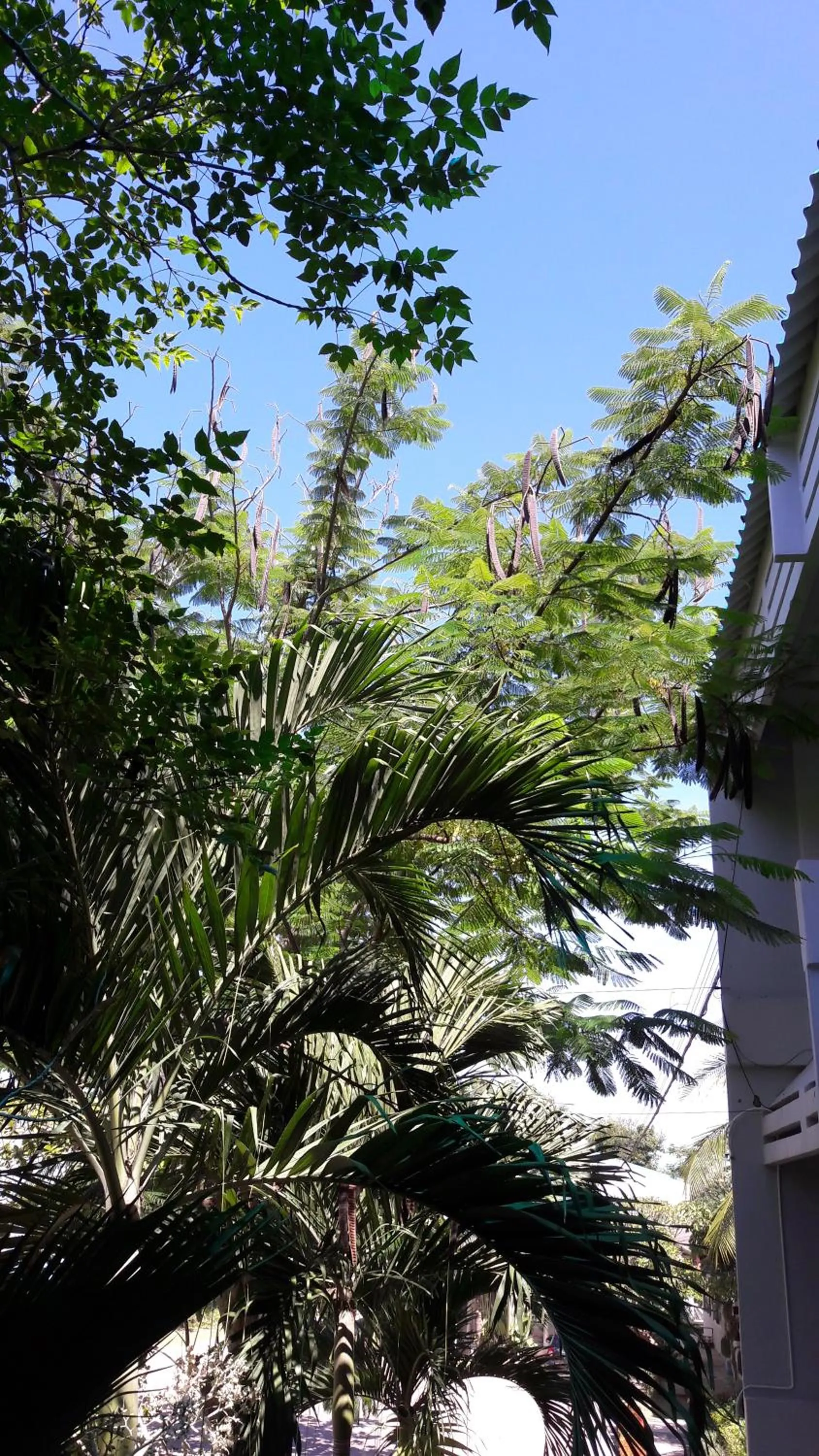 Addera Residence Hua Hin