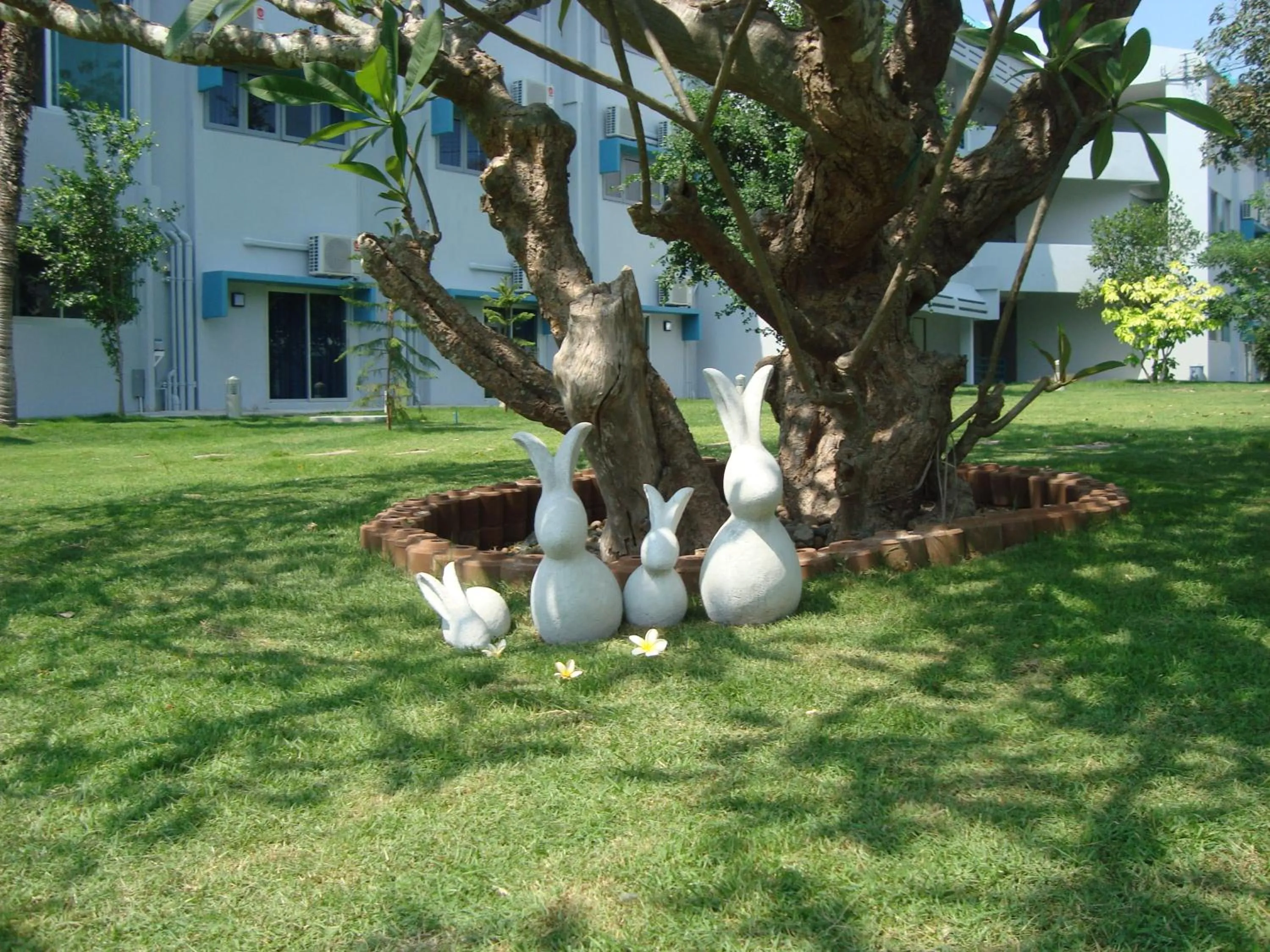 Garden view in Addera Residence Hua Hin