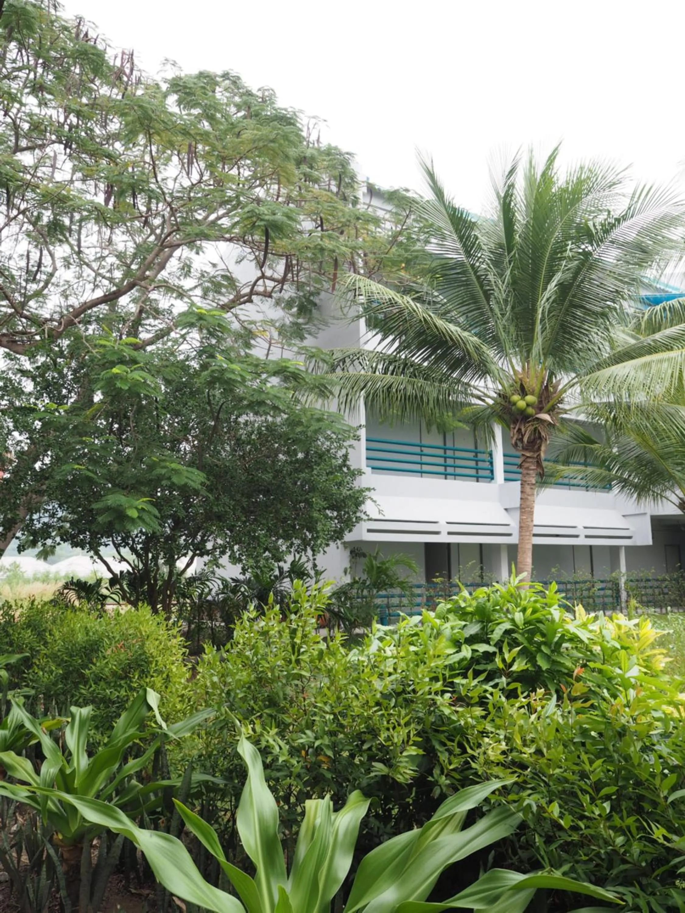 Natural landscape in Addera Residence Hua Hin