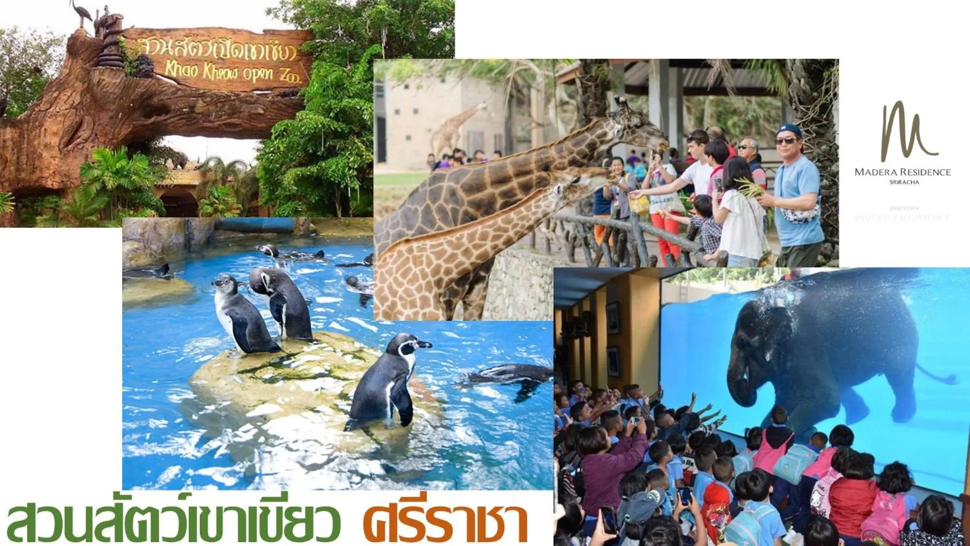 Nearby landmark in Madera Residence Sriracha