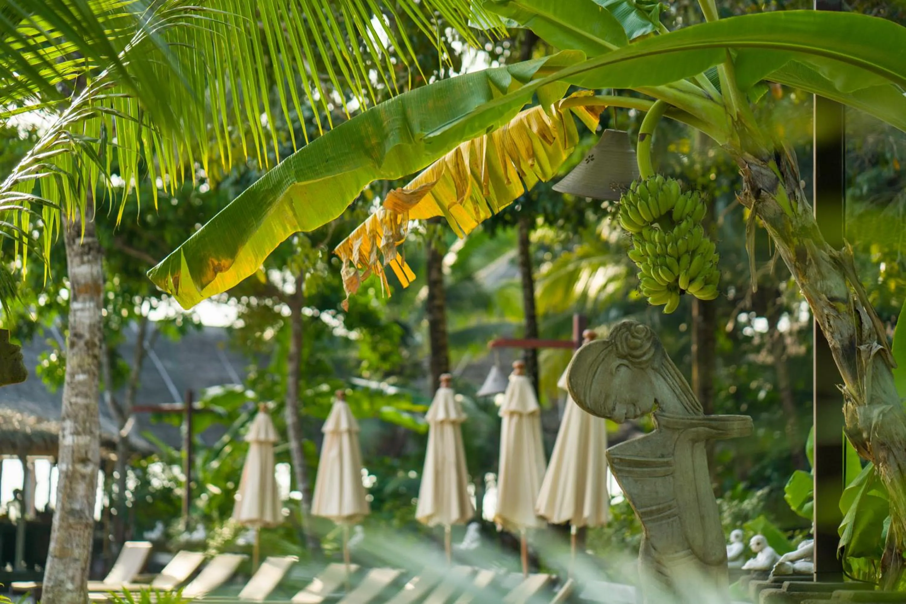 Dining area in Koh Yao Yai Village