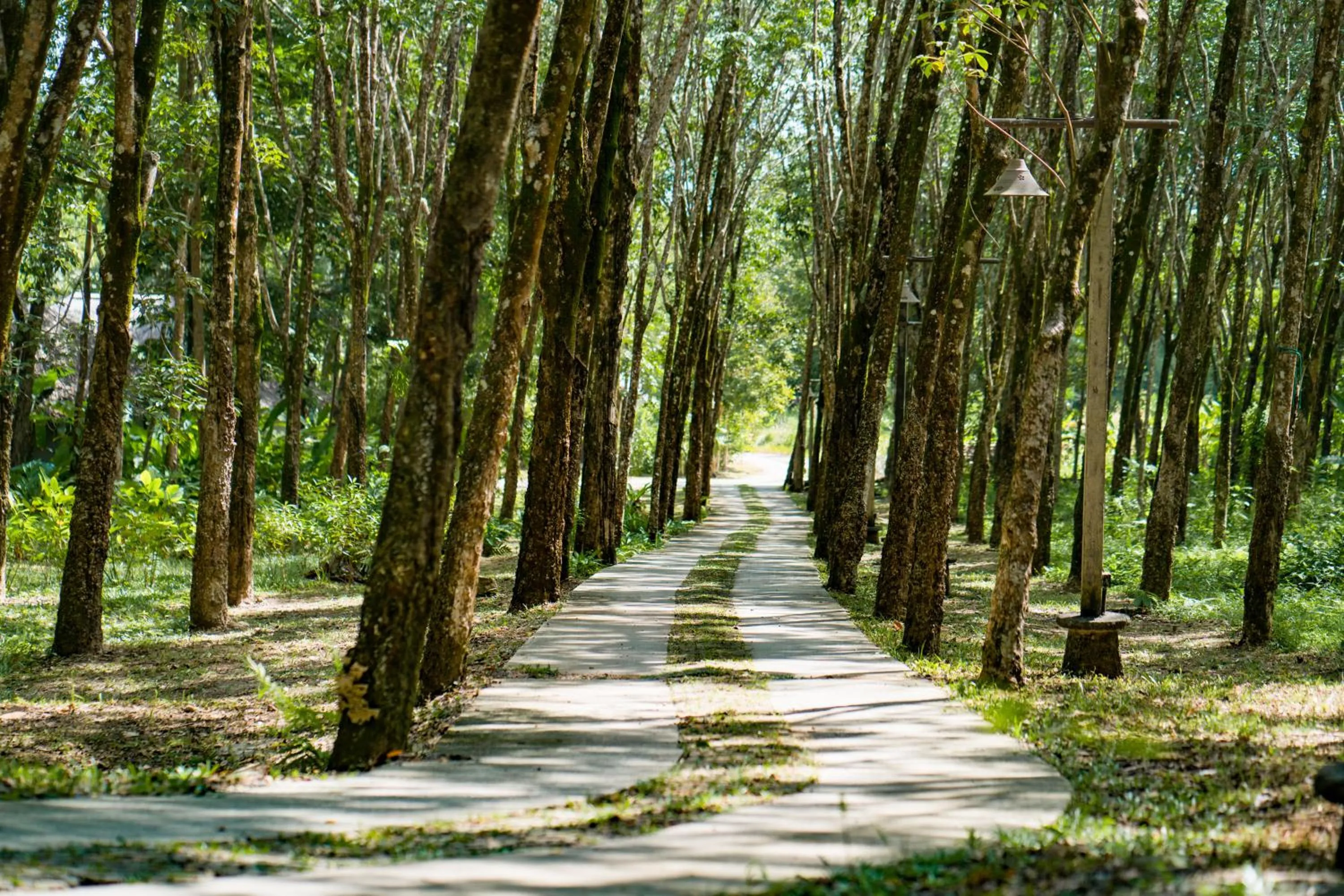 Natural landscape in Koh Yao Yai Village