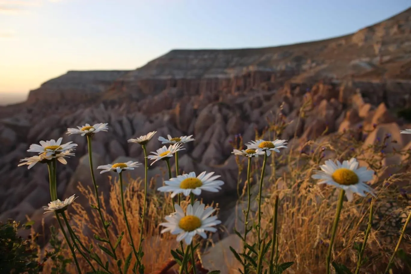 Spring in Cappadocia Gamirasu Cave Hotel