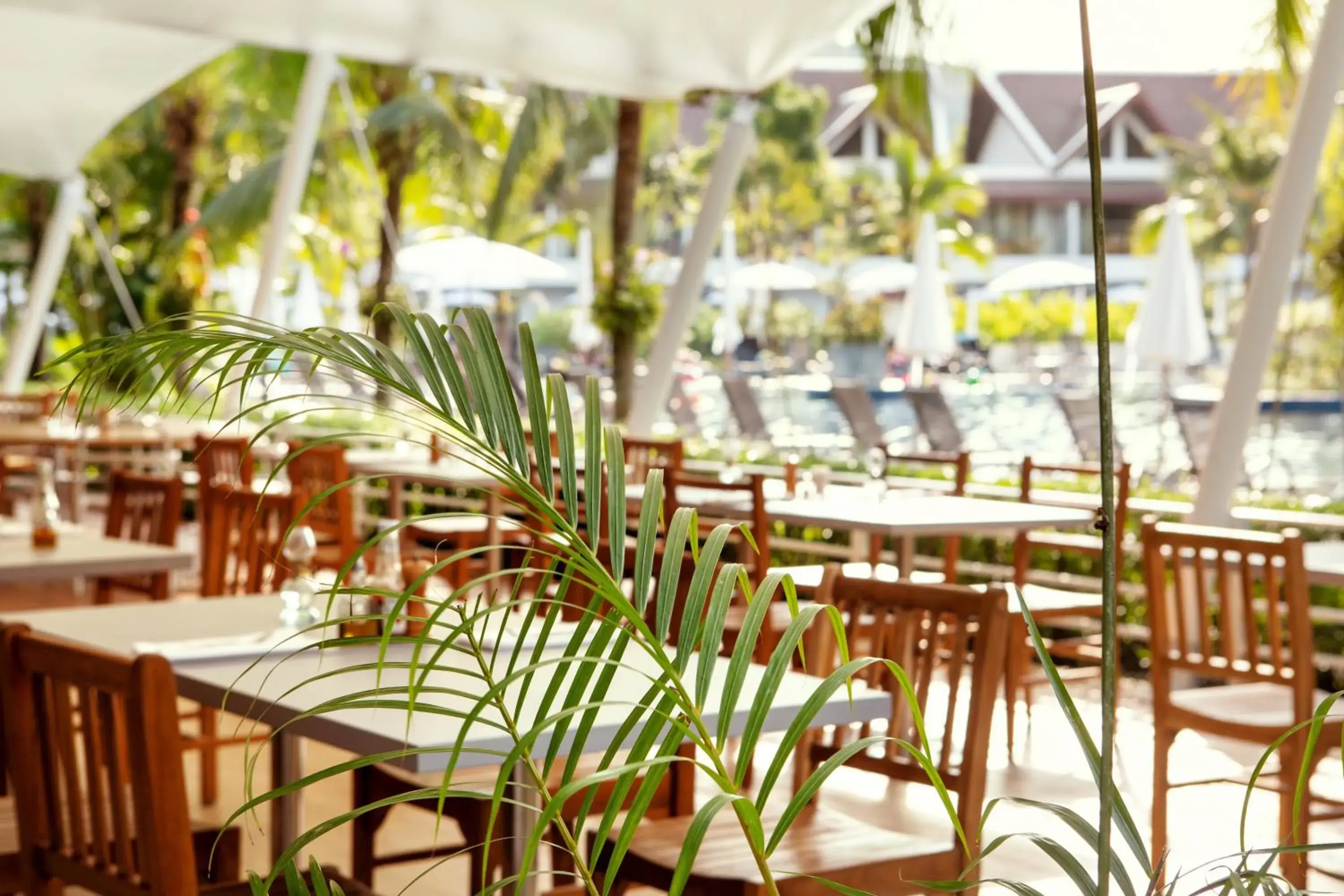 Restaurant/places to eat in Sunwing Kamala Beach Restaurant/places to eat in Sunwing Kamala Beach