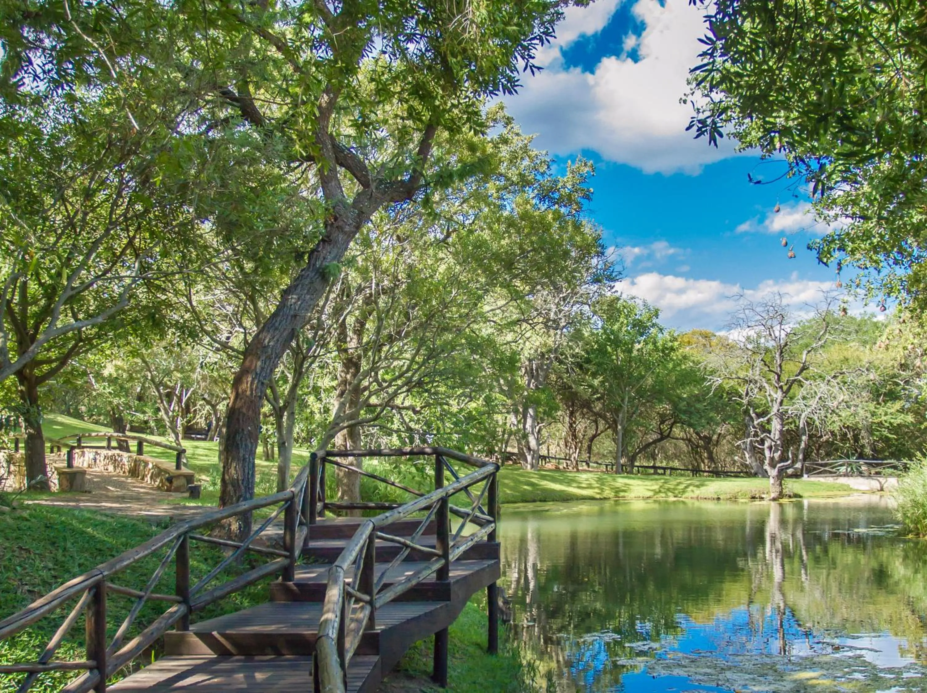 Garden view in LittleBush Private Lodge