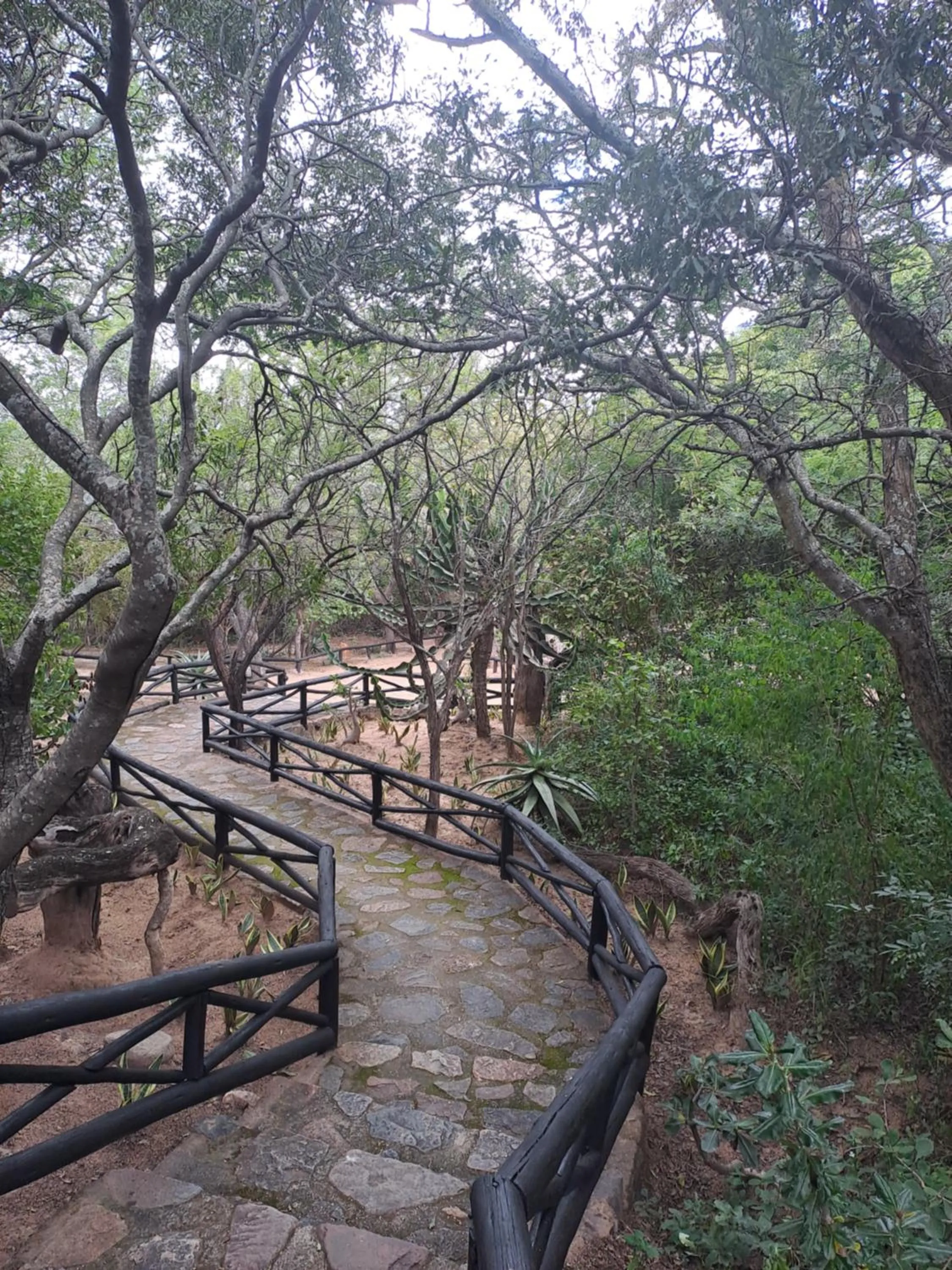 Garden in LittleBush Private Lodge
