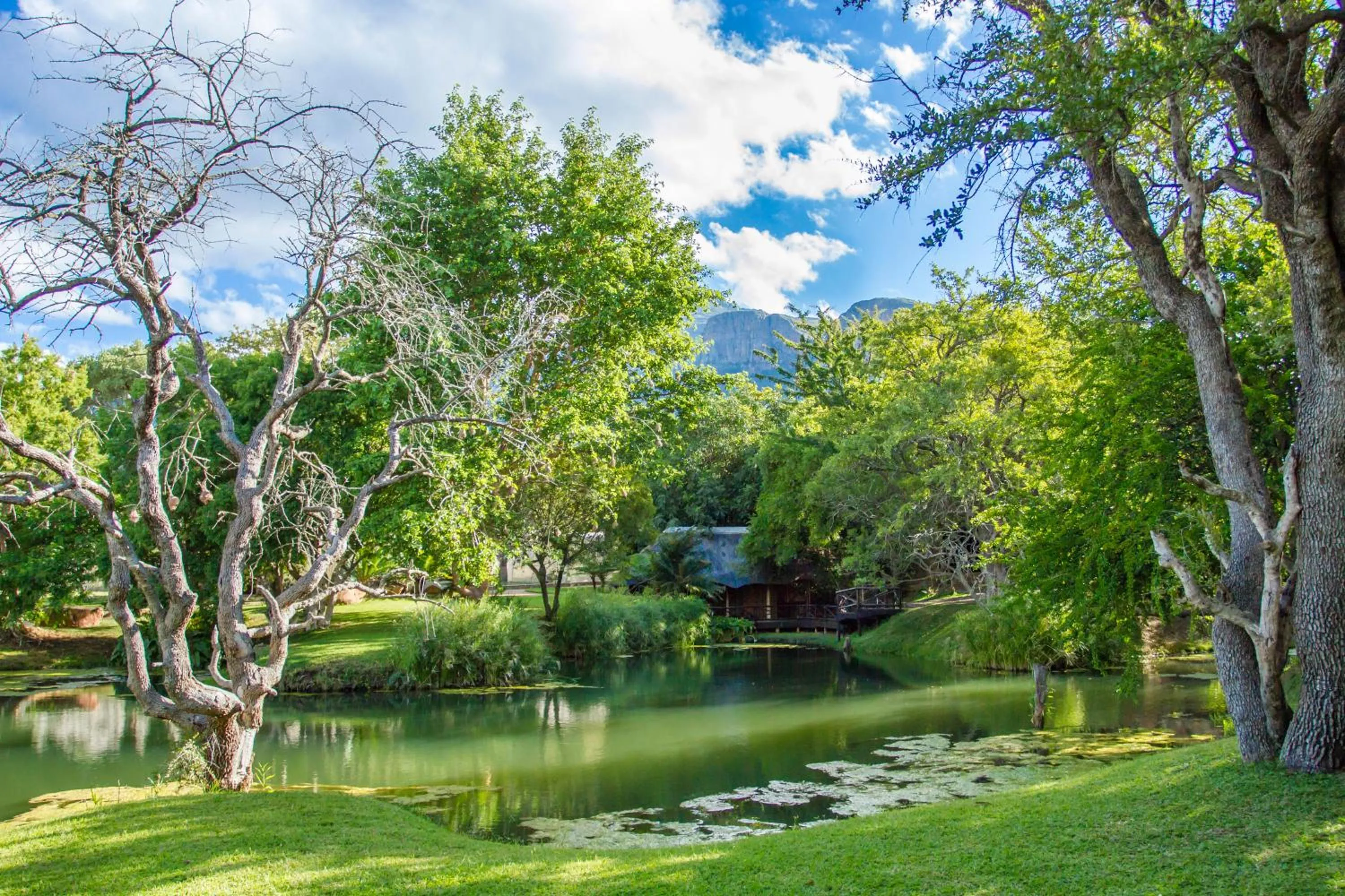 Garden view in LittleBush Private Lodge