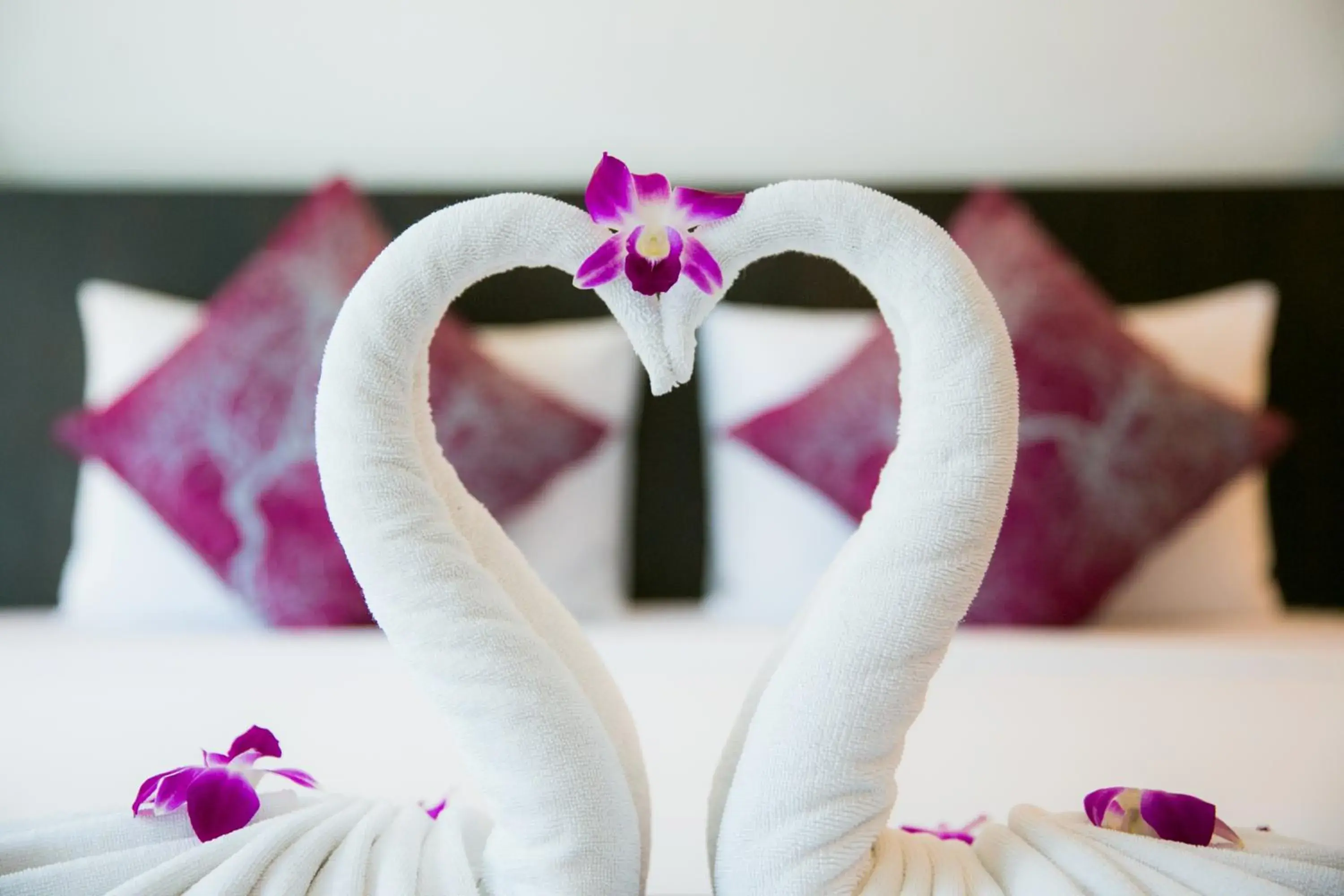 Other, Bed in Apasari Krabi - SHA Extra Plus Other, Bed in Apasari Krabi - SHA Extra Plus