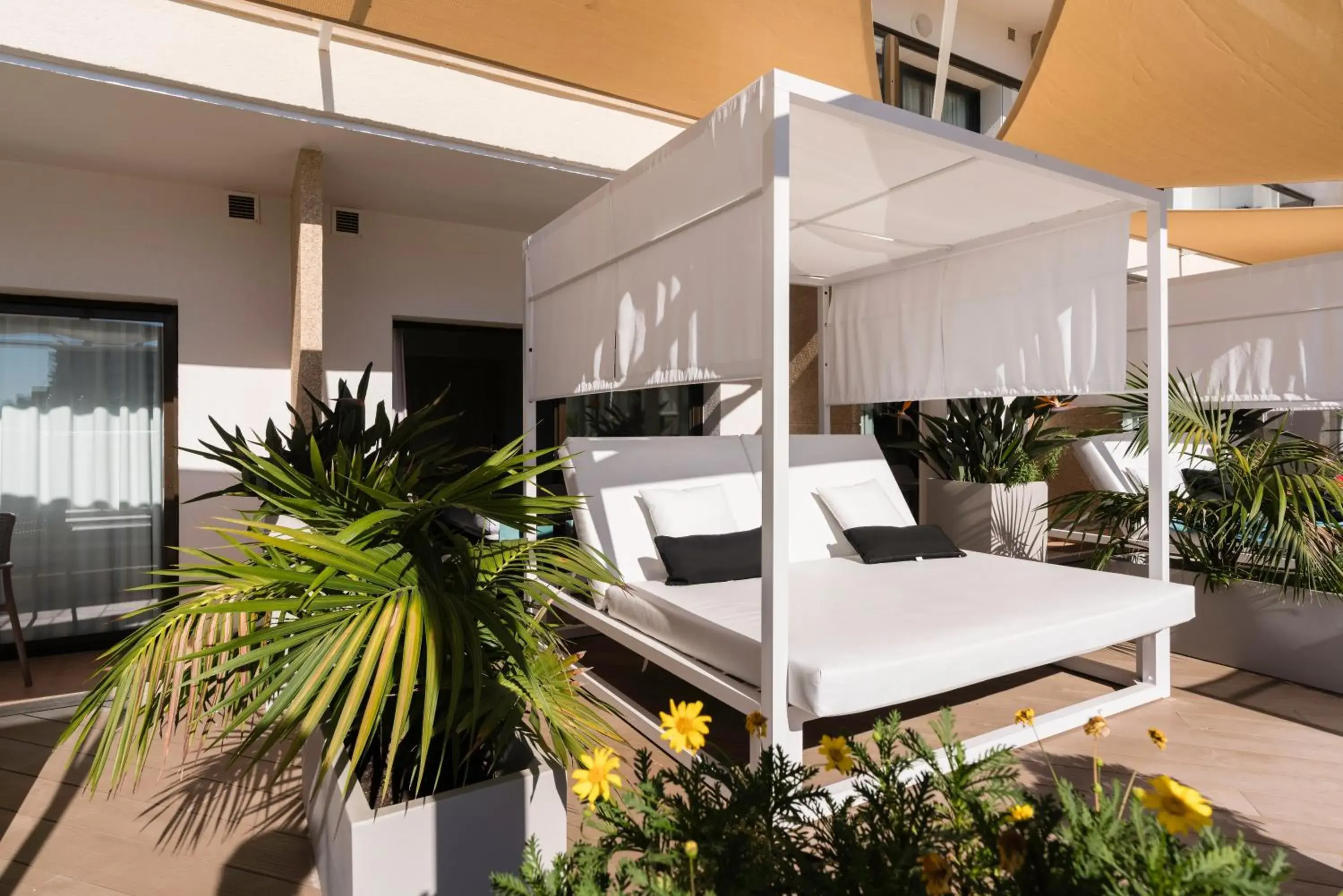 My Favorite Club Double Premium with Bali Bed - single occupancy in AluaSoul Palma Hotel Adults Only My Favorite Club Double Premium with Bali Bed - single occupancy in AluaSoul Palma Hotel Adults Only