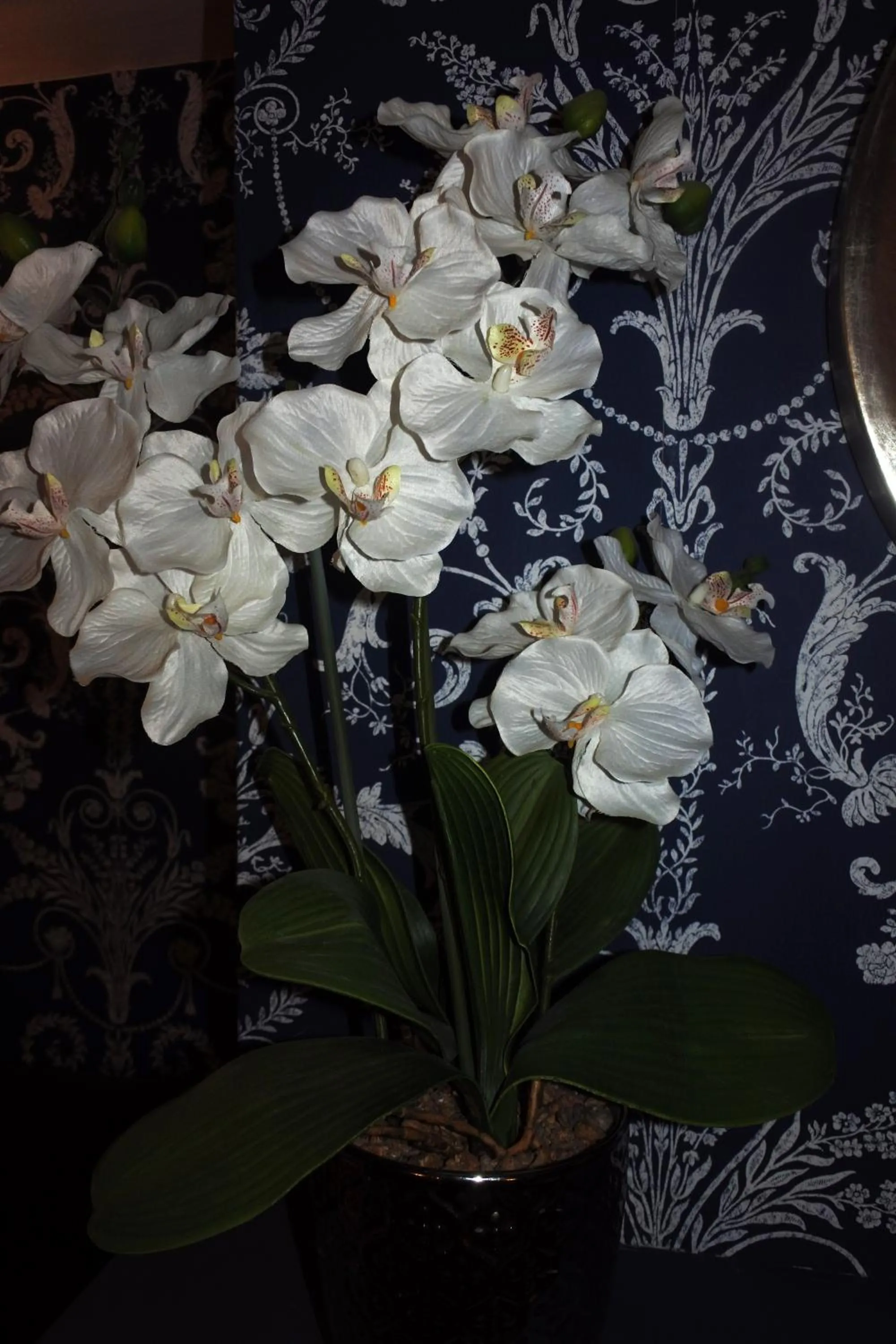 Restaurant/places to eat in Magpies Restaurant with Rooms