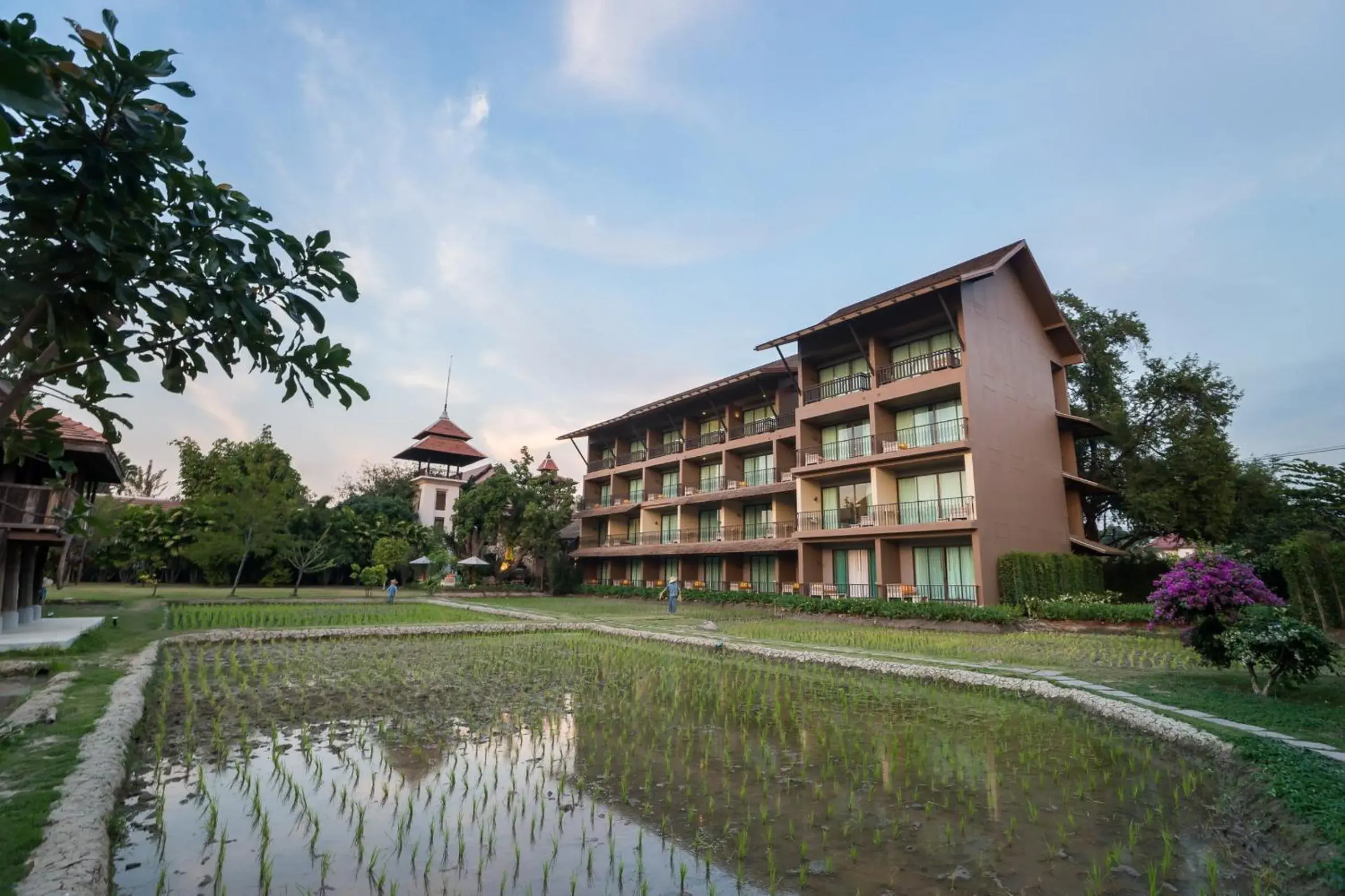 Garden view in Siripanna Villa Resort & Spa Chiang Mai -SHA Extra Plus Garden view in Siripanna Villa Resort & Spa Chiang Mai -SHA Extra Plus