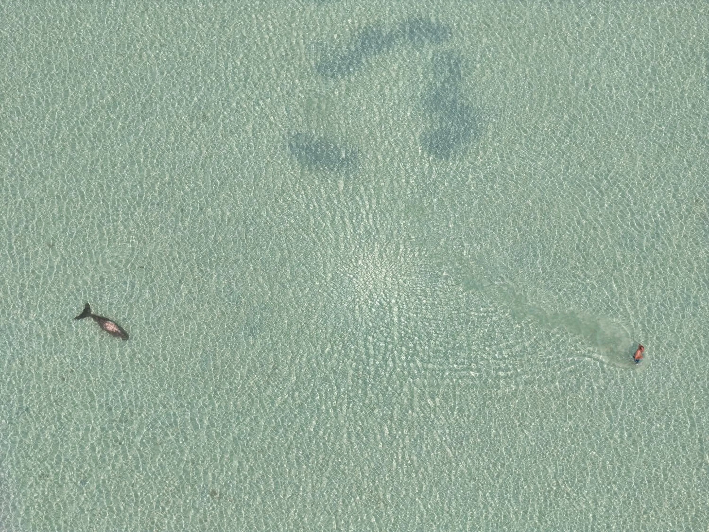 Bird's eye view in Sevenseas Resort Koh Kradan