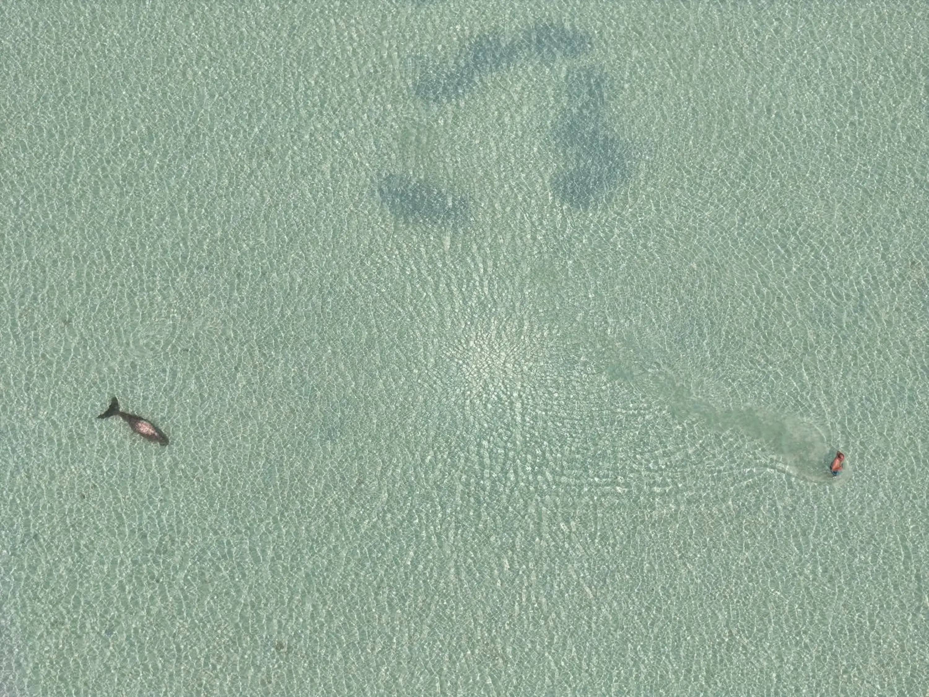 Bird's eye view in Sevenseas Resort Koh Kradan Bird's eye view in Sevenseas Resort Koh Kradan