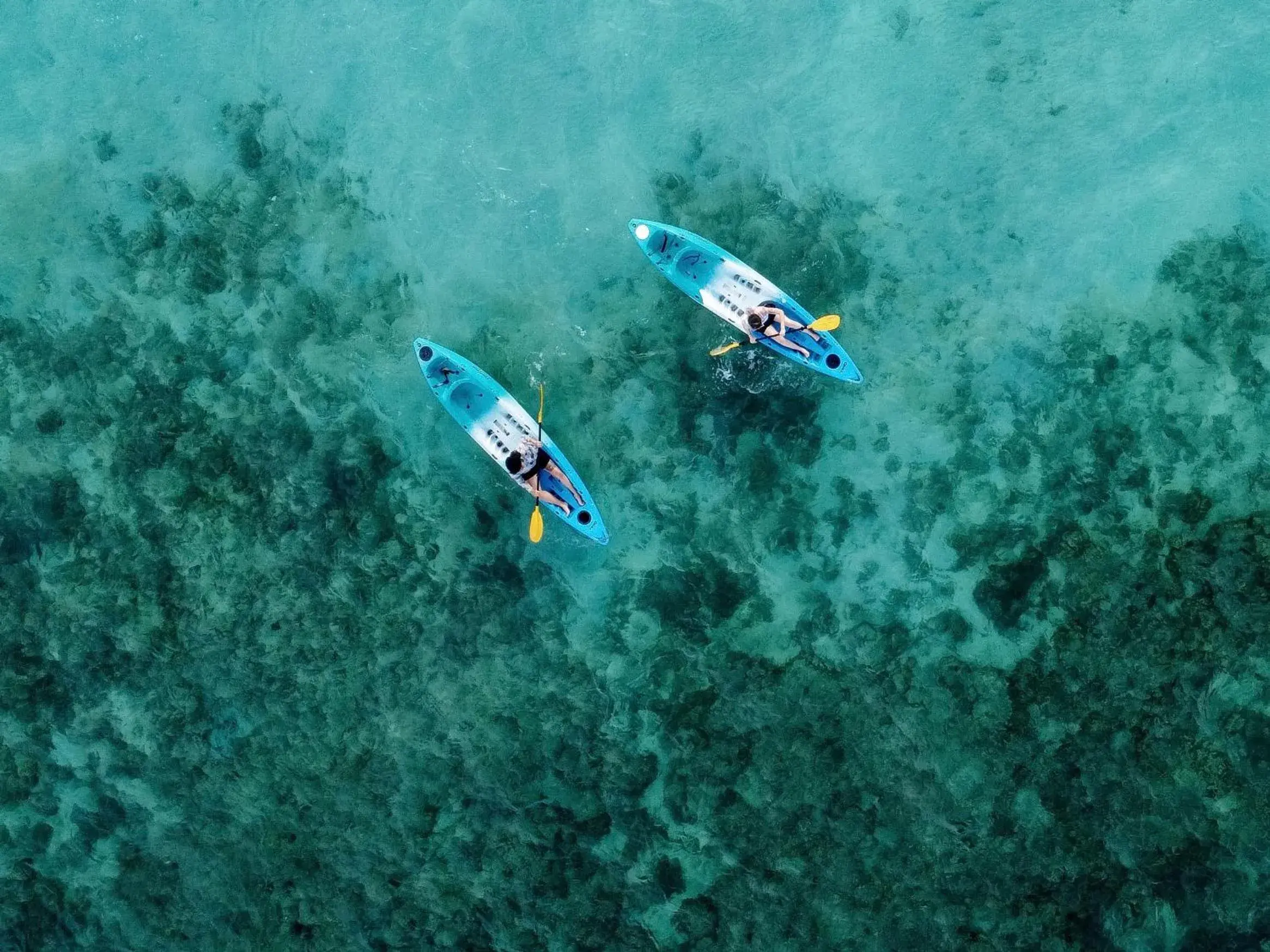 Bird's eye view in Sevenseas Resort Koh Kradan Bird's eye view in Sevenseas Resort Koh Kradan