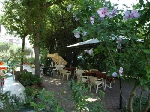 Garden in Hotel Beverly