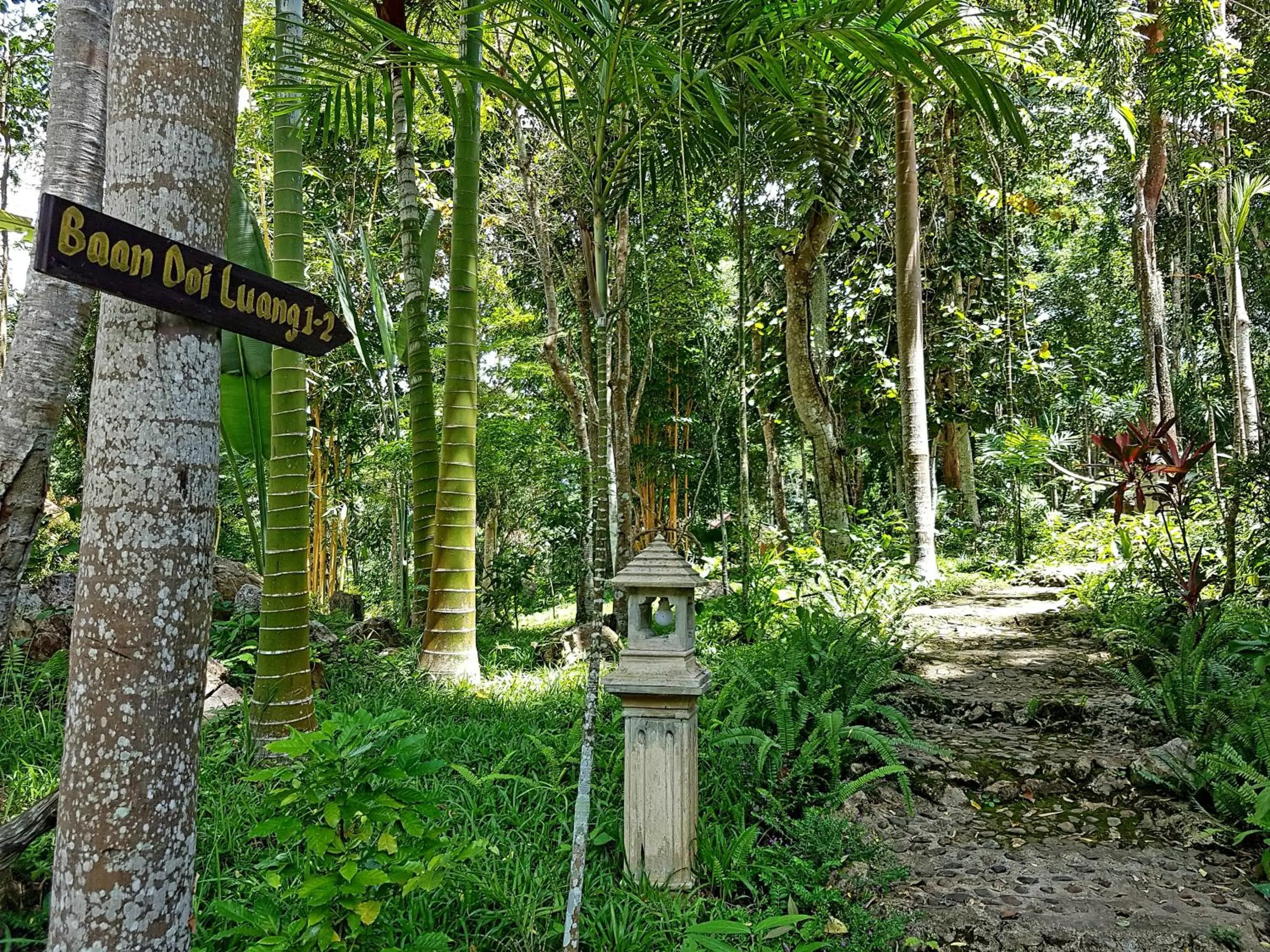 Garden in Marisa Resort & Spa Chiang Dao Garden in Marisa Resort & Spa Chiang Dao