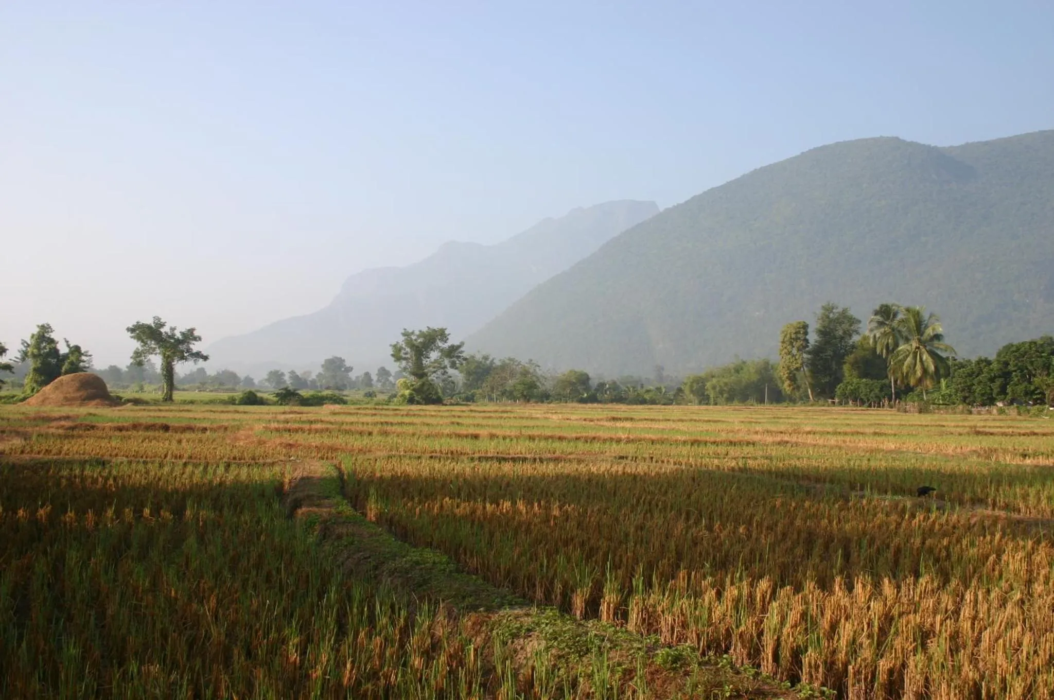 Natural landscape in Marisa Resort & Spa Chiang Dao